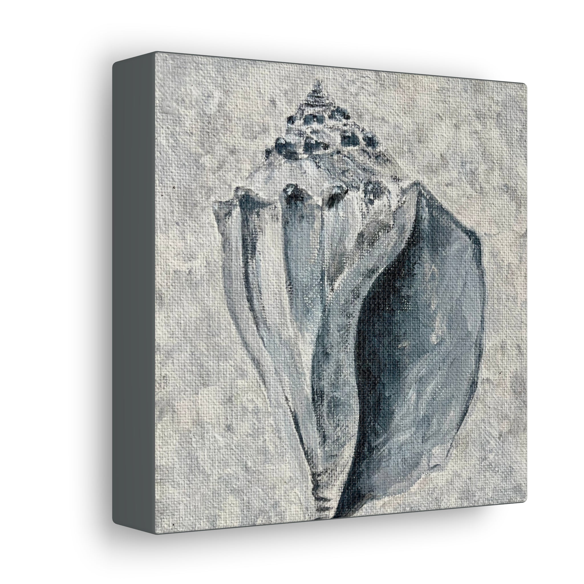 Welk Shell #2 Canvas Gallery Wraps