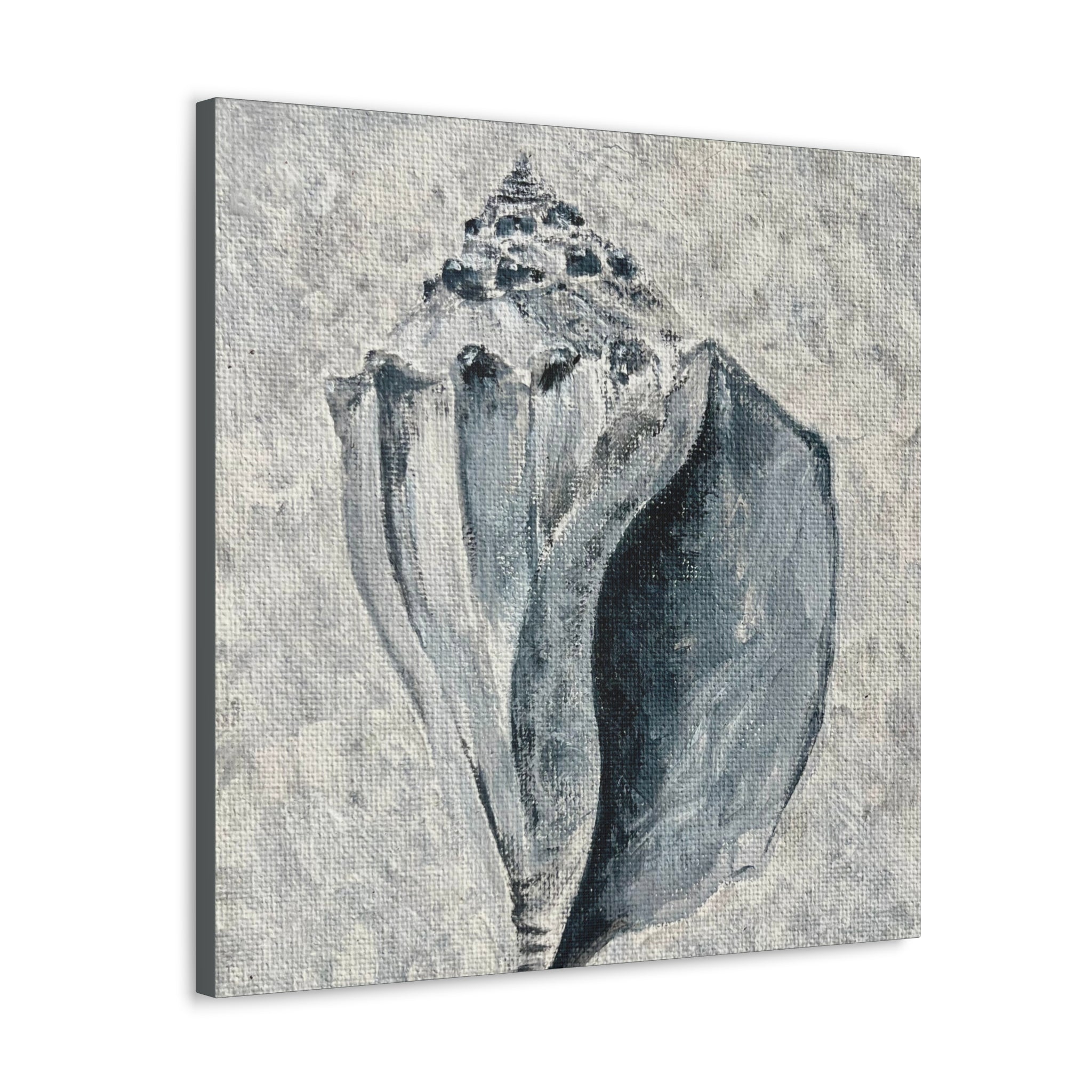 Welk Shell #2 Canvas Gallery Wraps