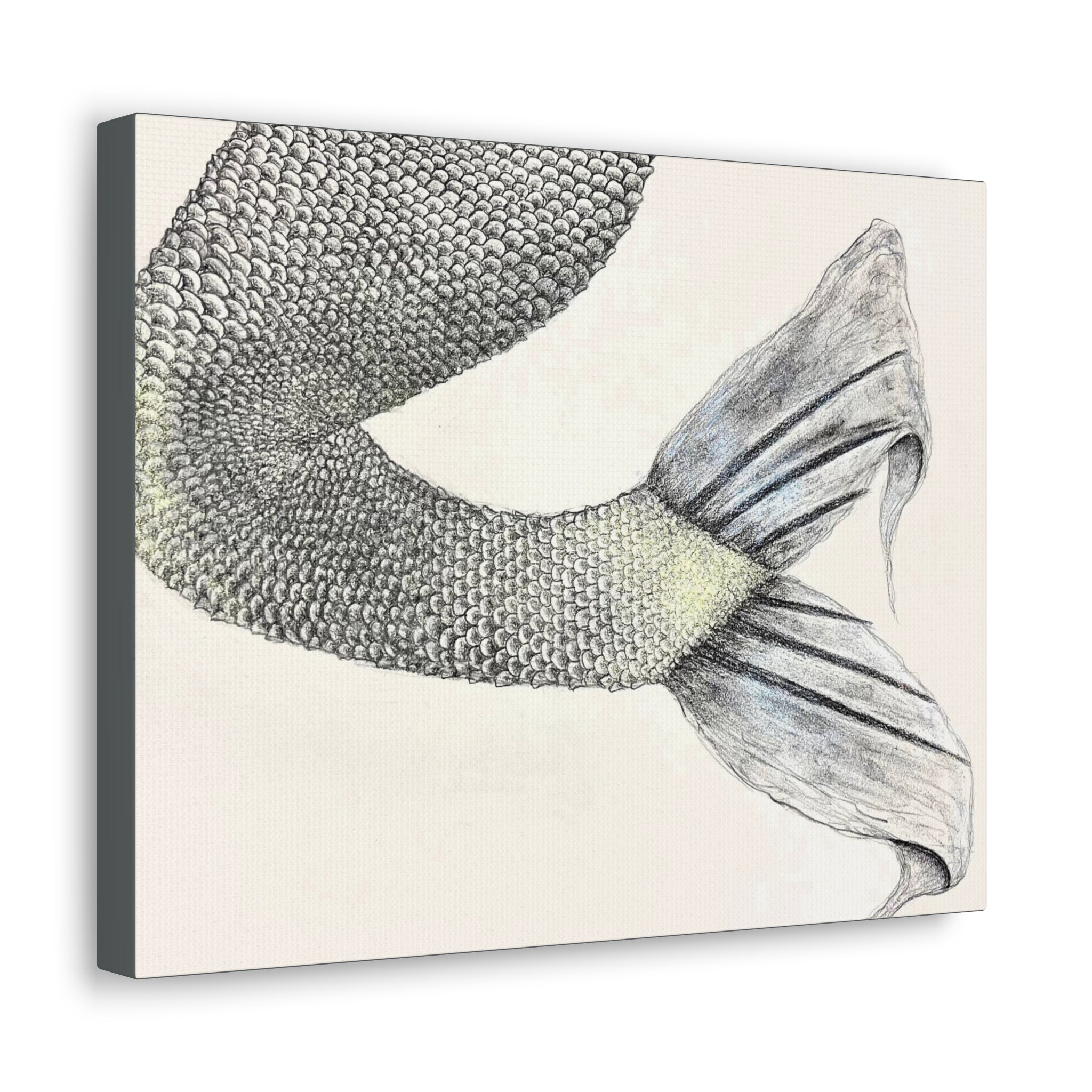 Mermaid #1 Third Edition Canvas Gallery Wraps
