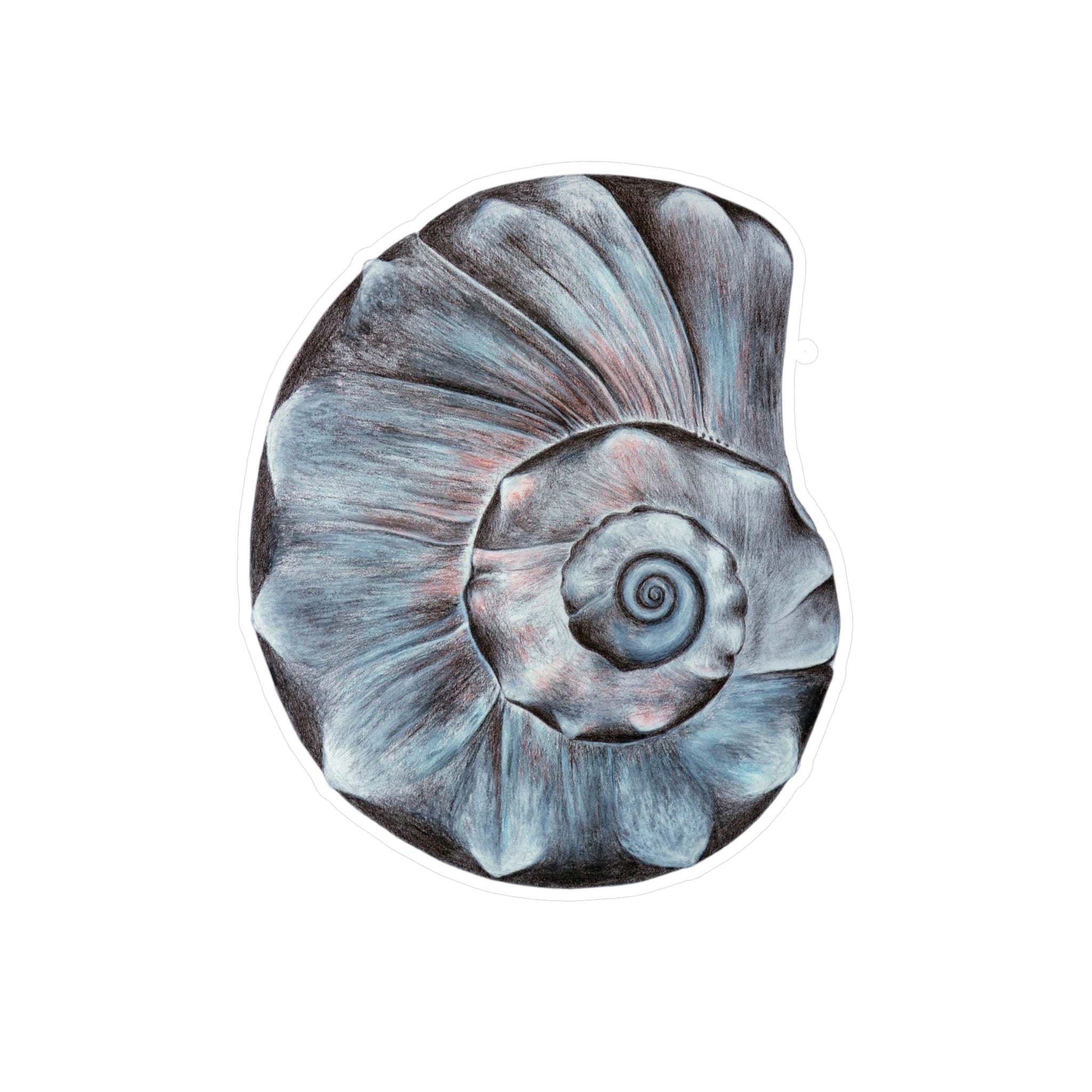 Vinyl Decals (OBX Welk Shell) UV/Water resist