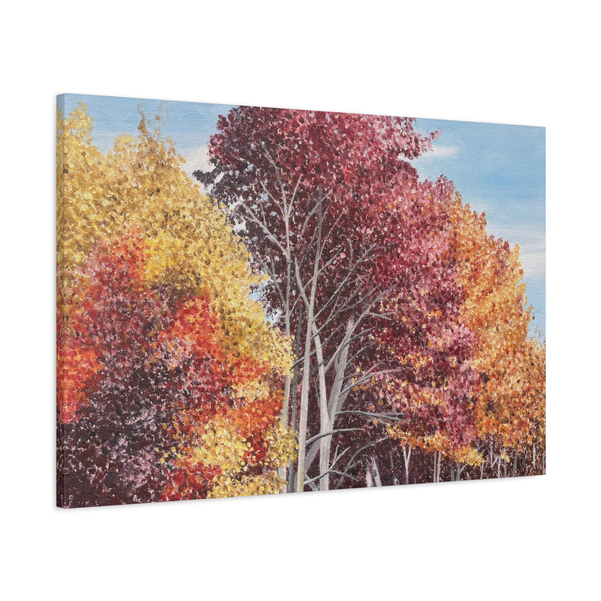 "Fall in Pennsylvania #1"