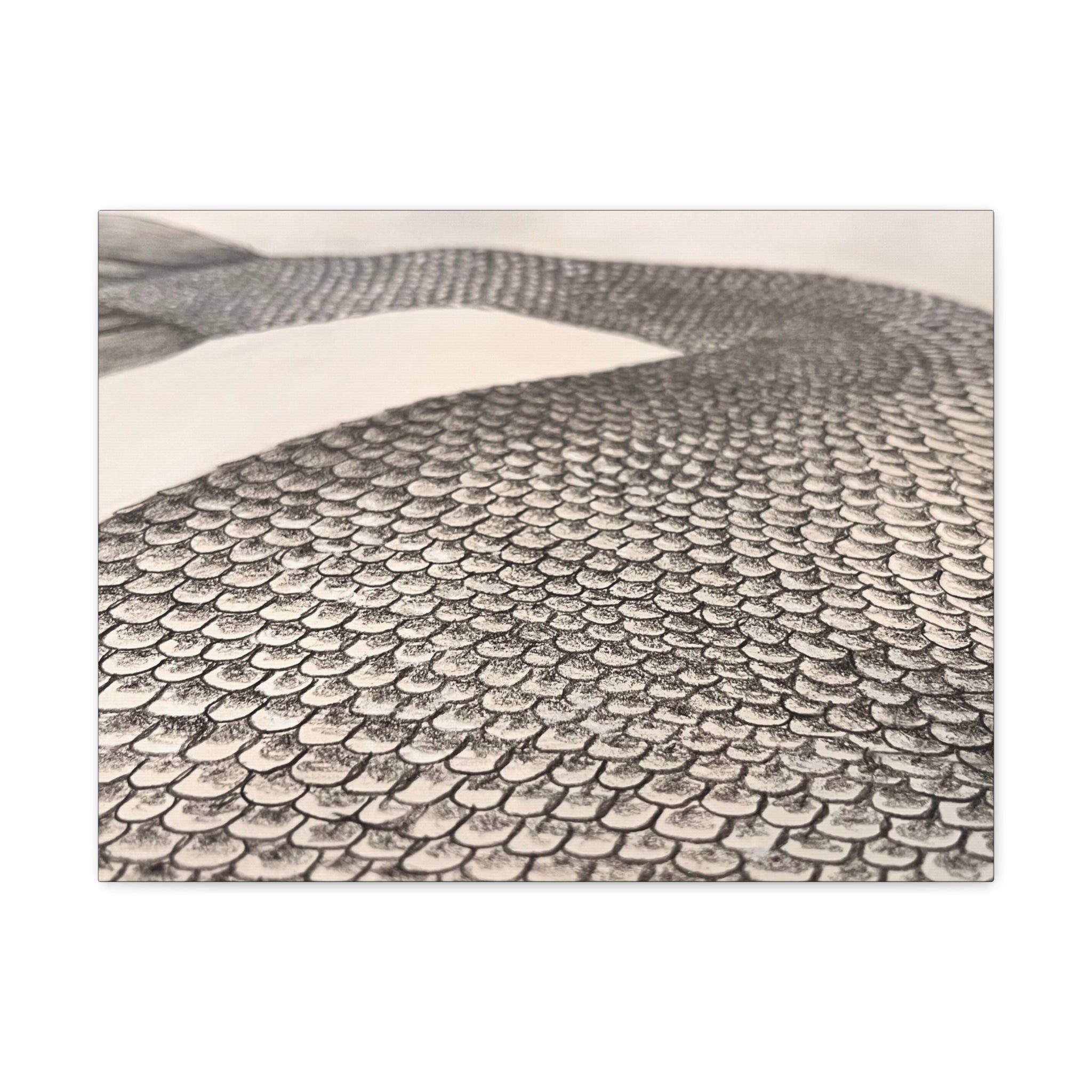 Mermaid Scales Edition #2 Canvas Gallery Wraps