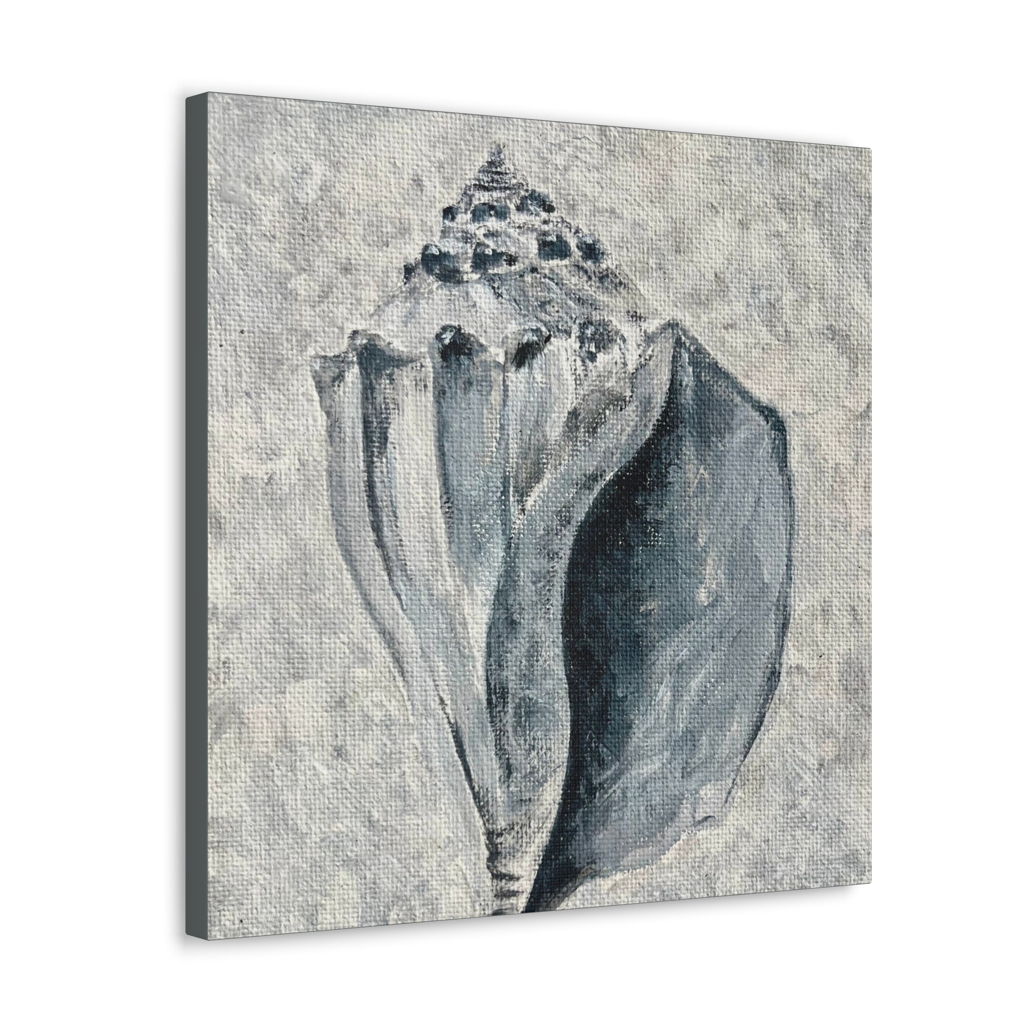Welk Shell #2 Canvas Gallery Wraps