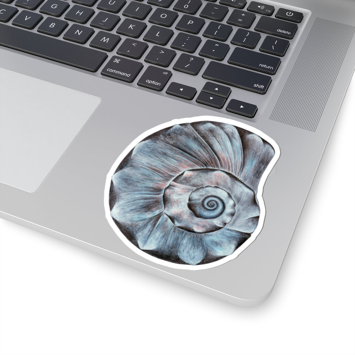 Welk Shell Kiss-Cut Stickers