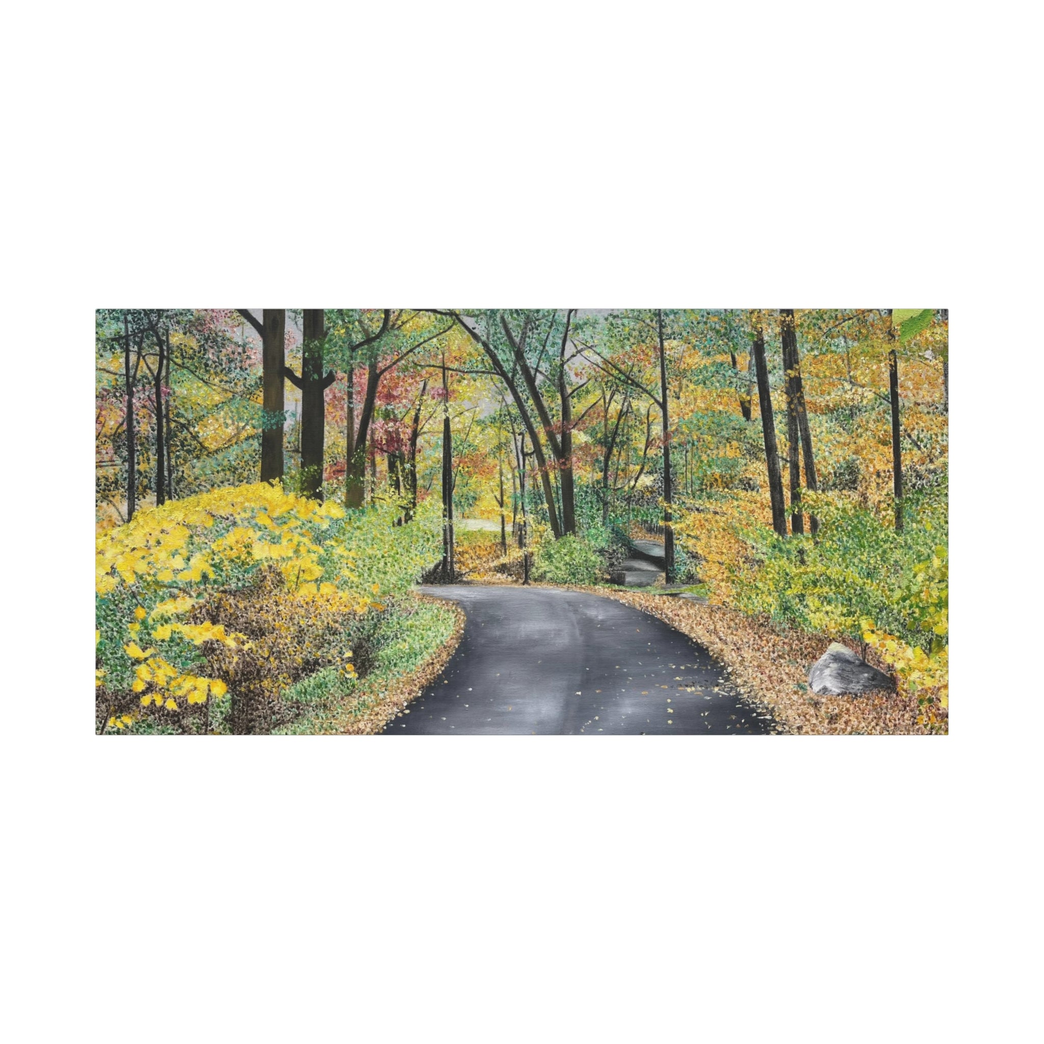 "Lake Scranton Fall Walk"