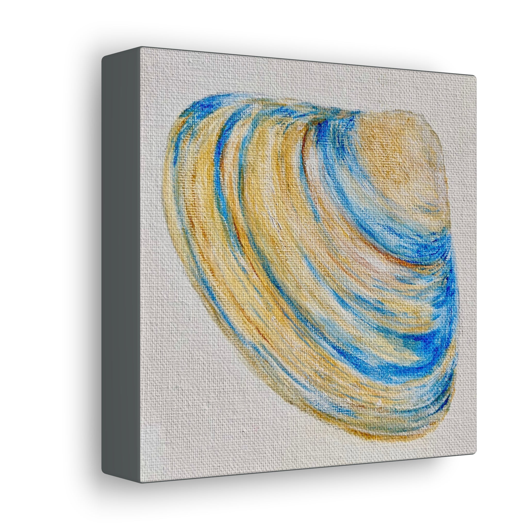 Clam Shell Canvas Gallery Wraps