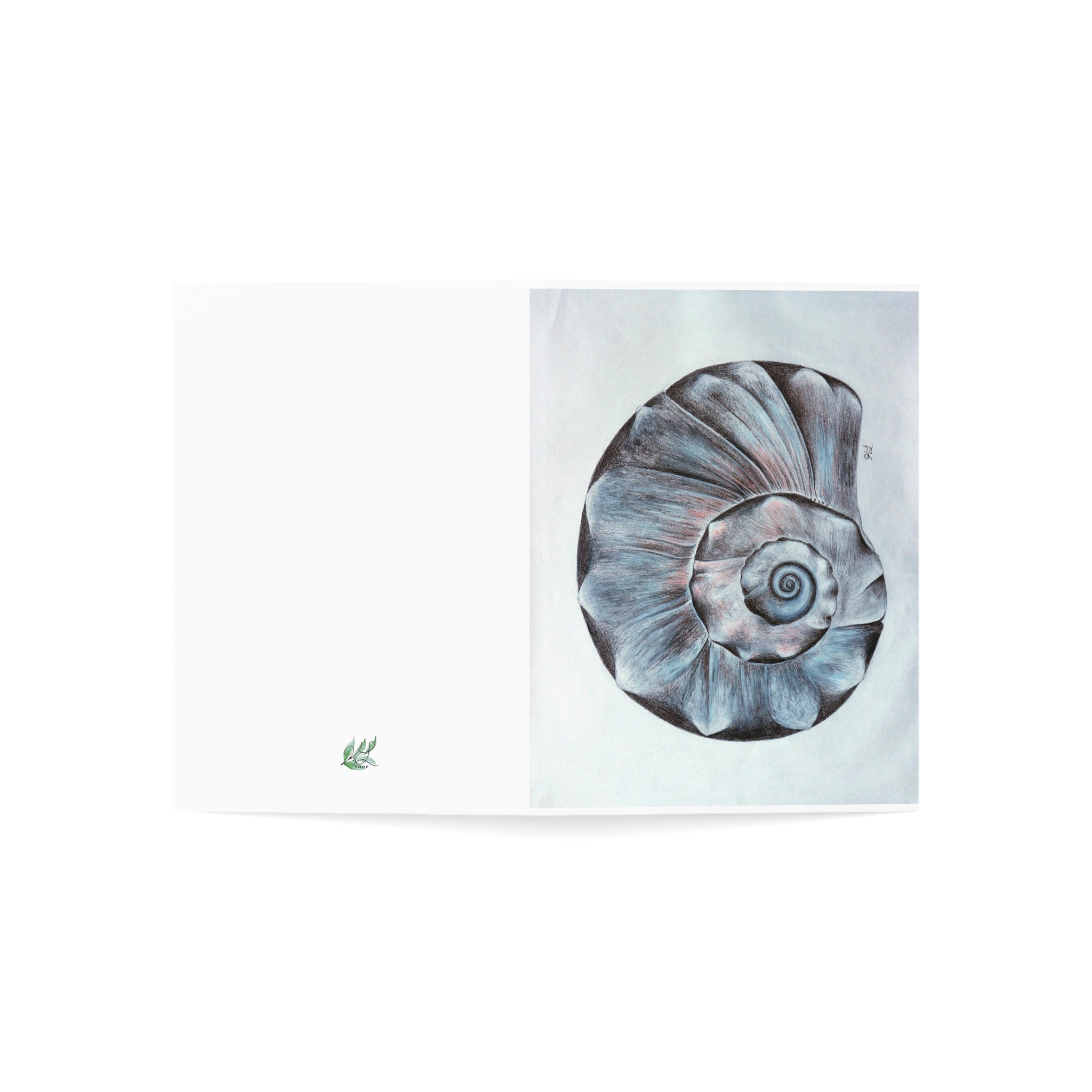 Welk Shell Greeting Cards (1, 10, 30, and 50pcs)