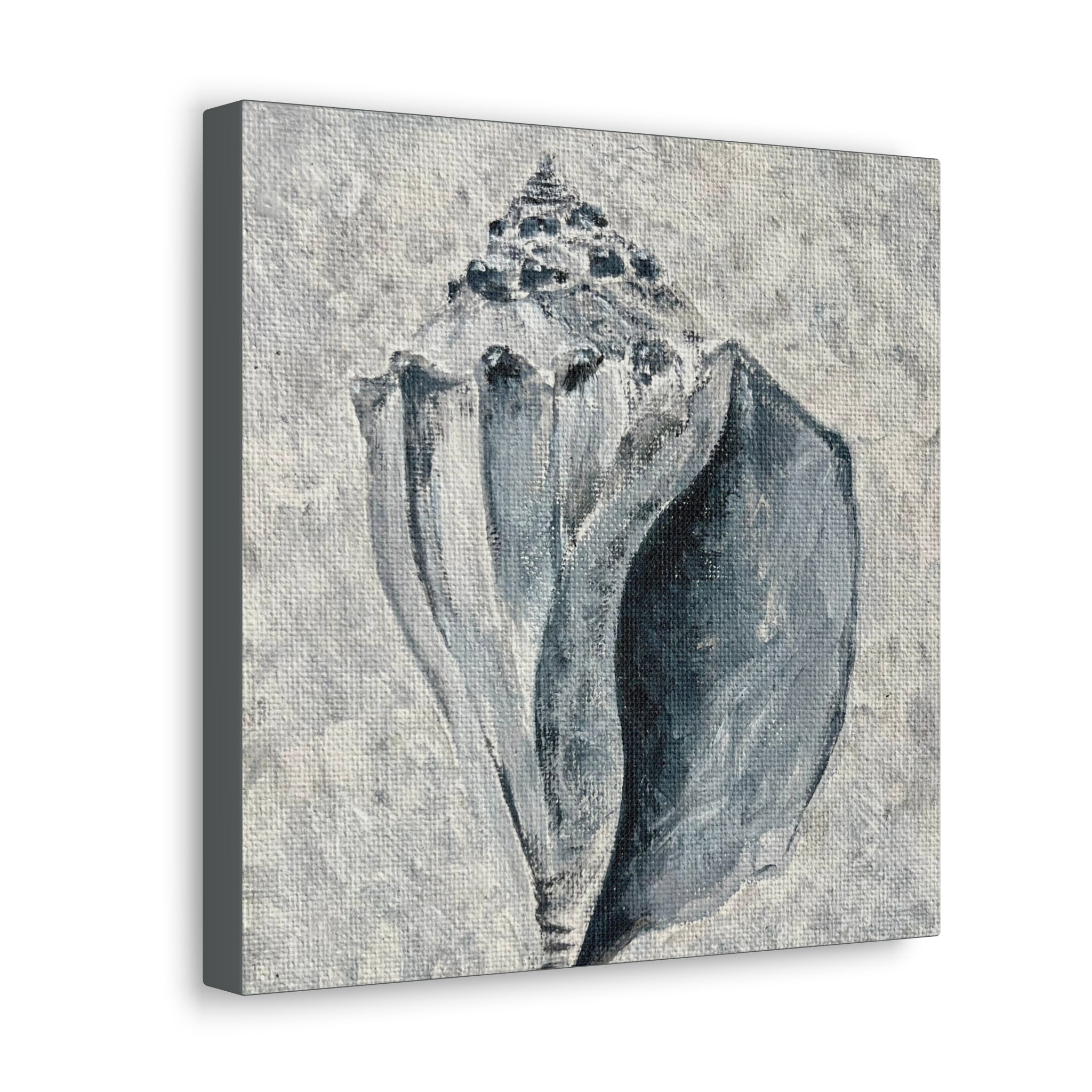 Welk Shell #2 Canvas Gallery Wraps