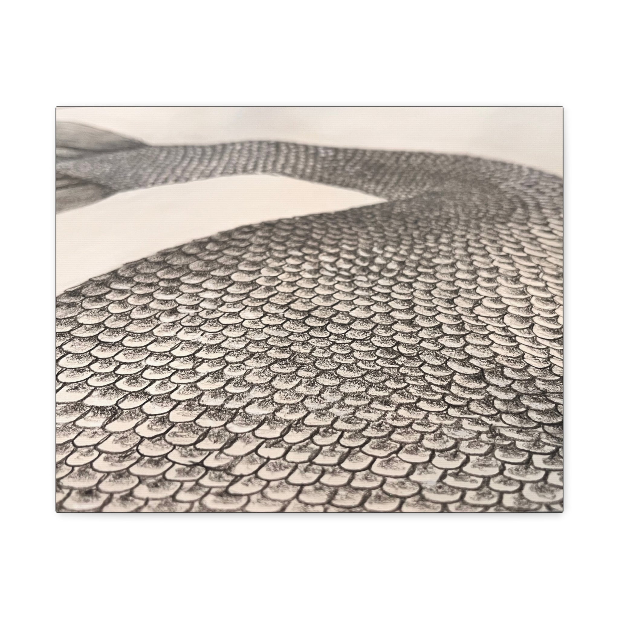 Mermaid Scales Edition #2 Canvas Gallery Wraps