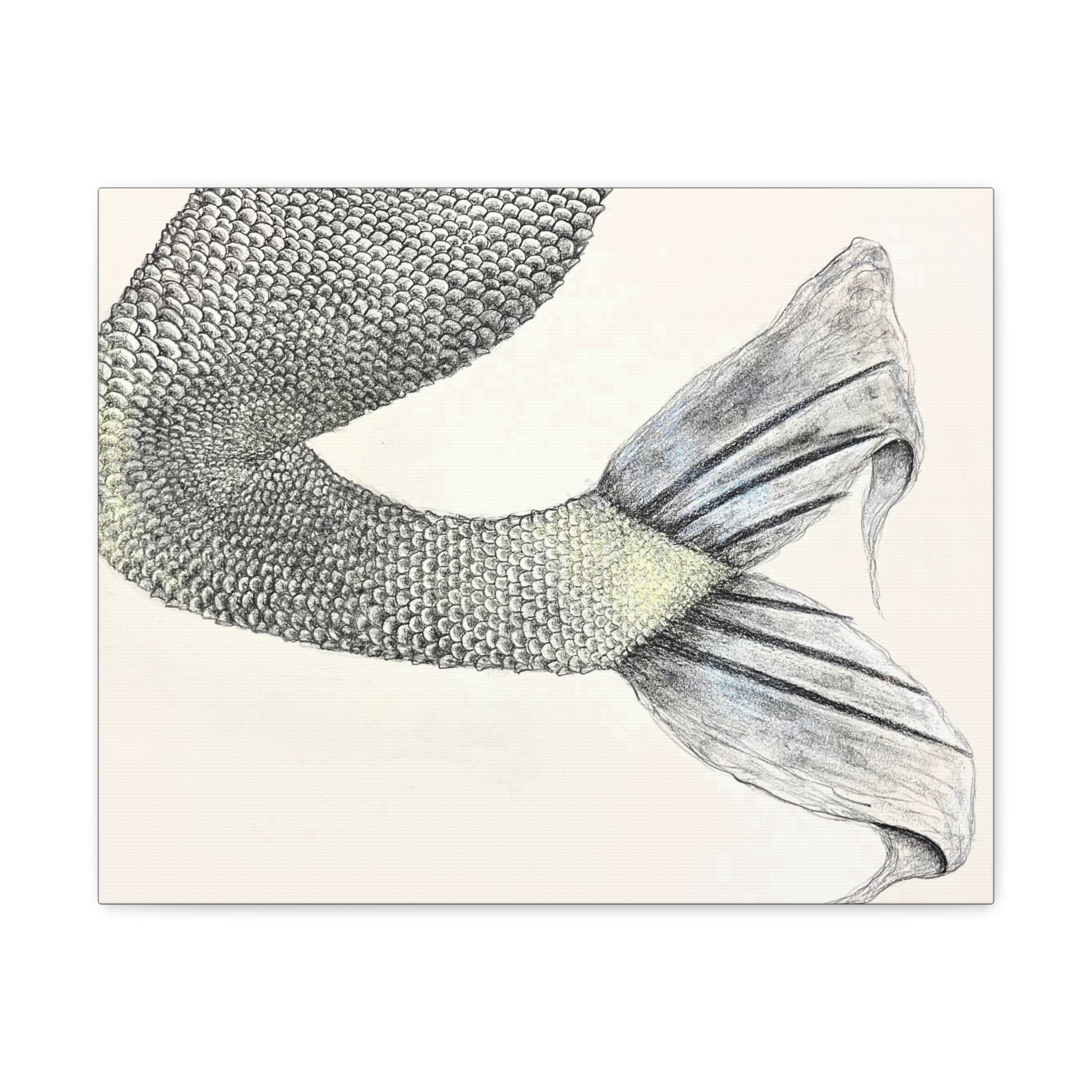 Mermaid #1 Third Edition Canvas Gallery Wraps