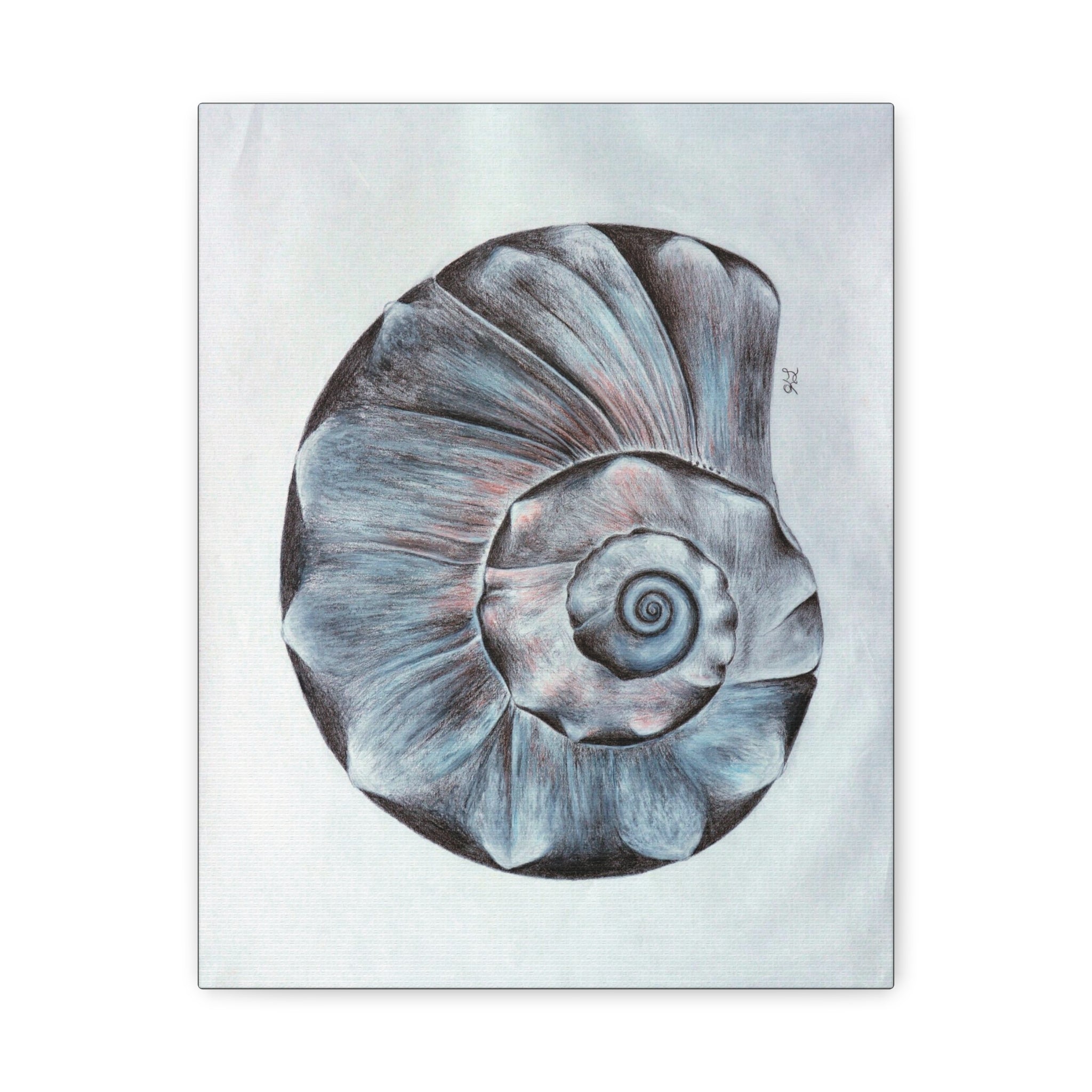 Welk Shell Wall Art