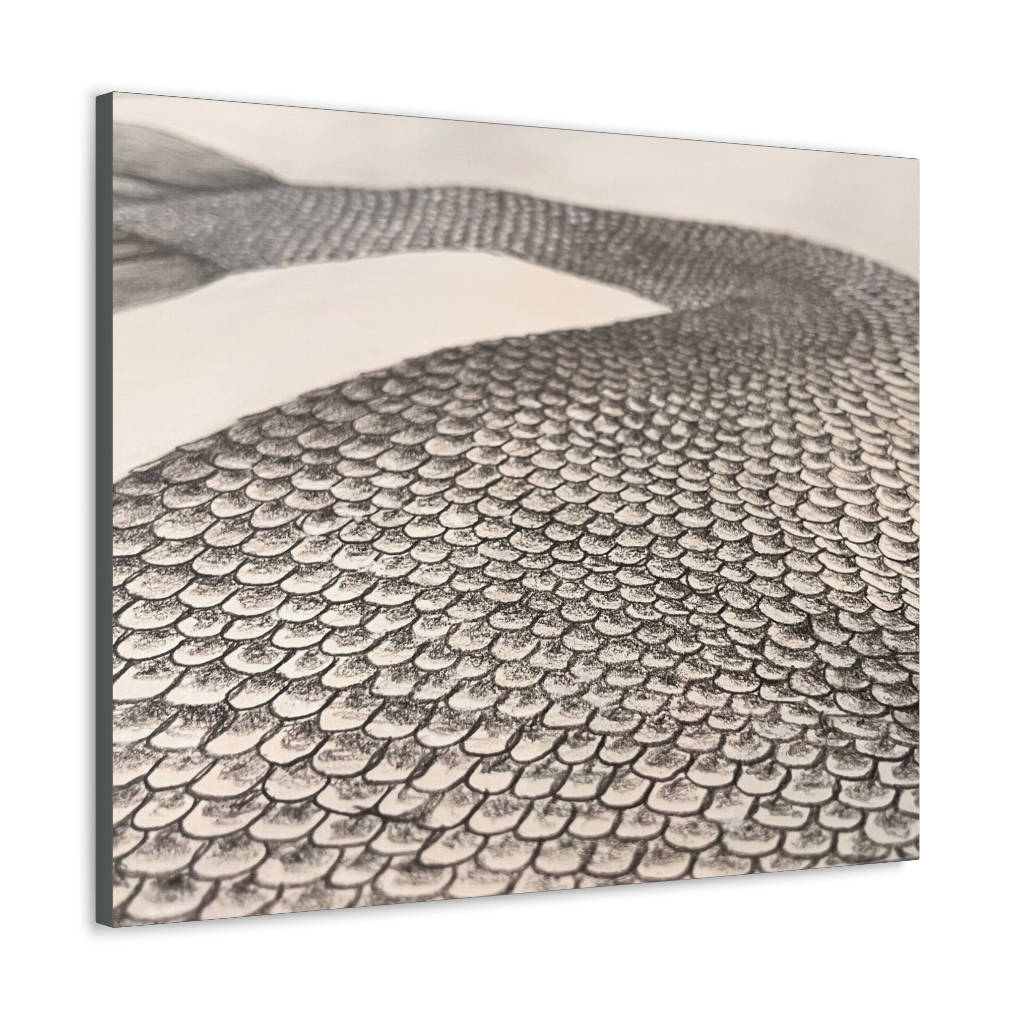 Mermaid Scales Edition #2 Canvas Gallery Wraps