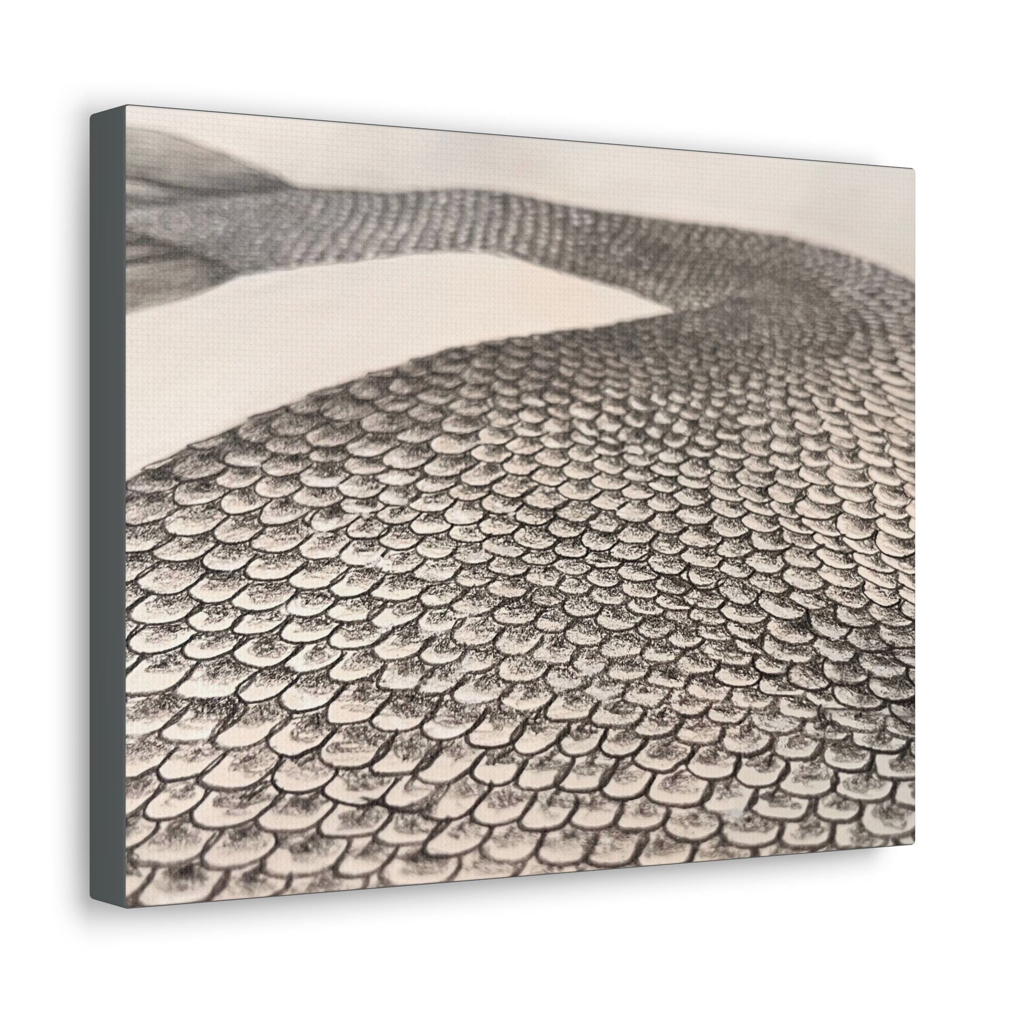 Mermaid Scales Edition #2 Canvas Gallery Wraps