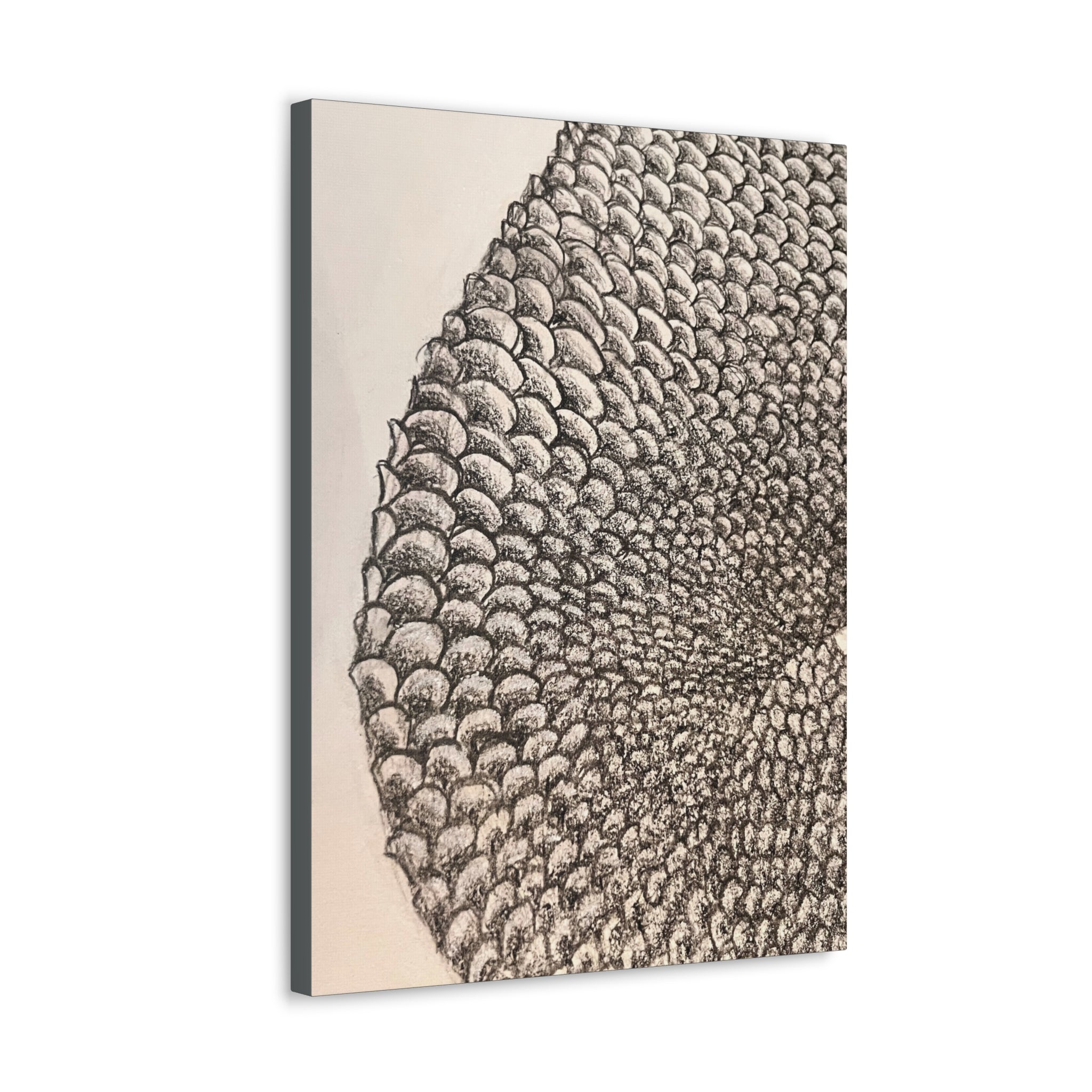 Mermaid Scales Canvas Gallery Wraps