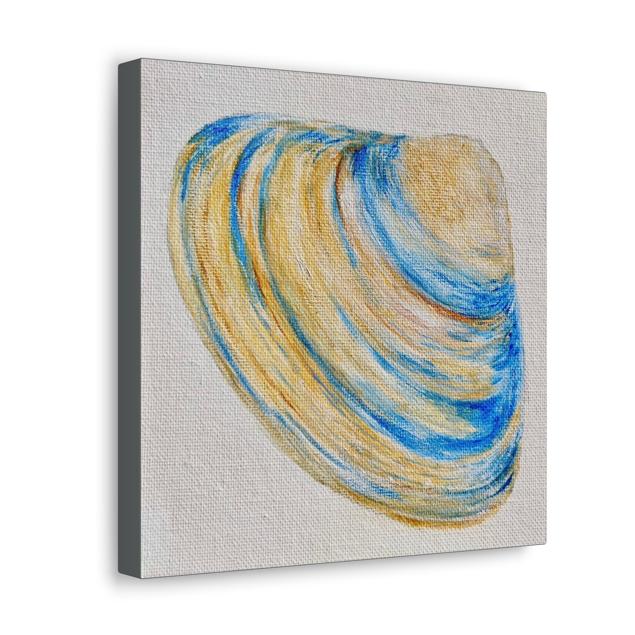 Clam Shell Canvas Gallery Wraps