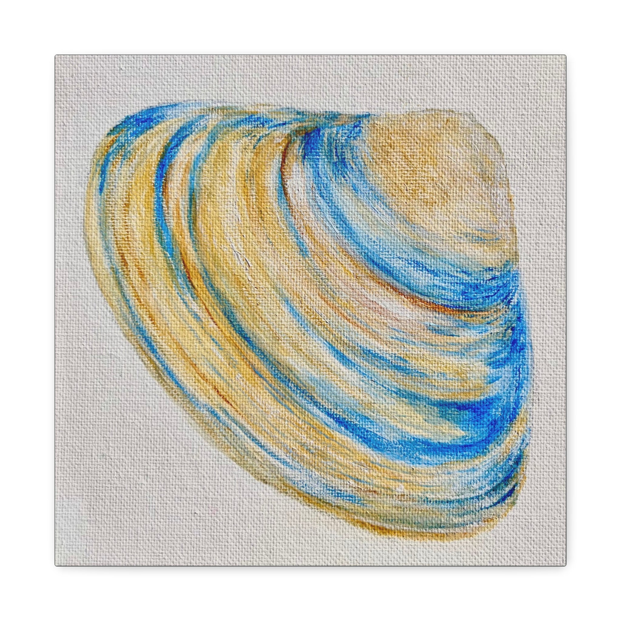 Clam Shell Canvas Gallery Wraps