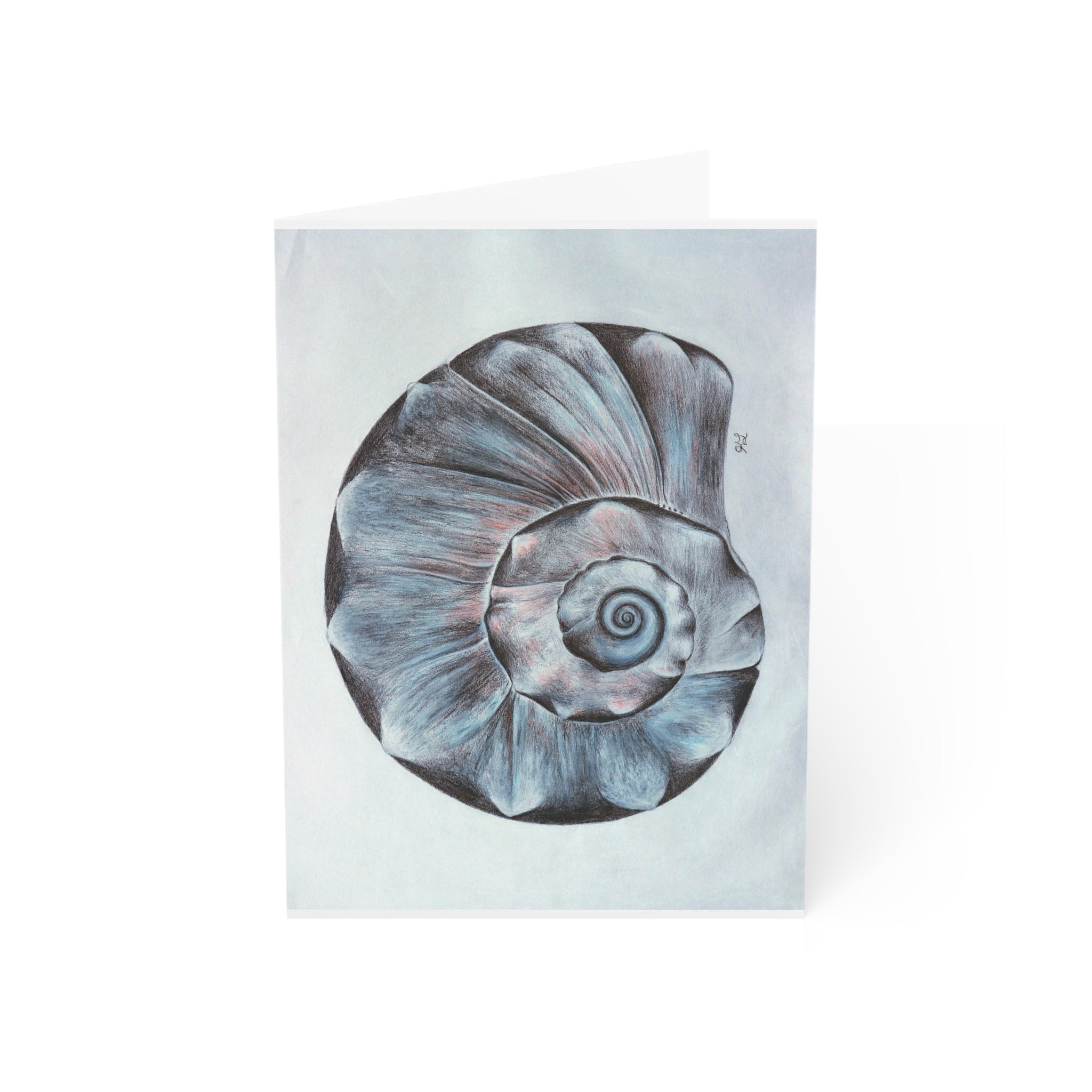 Welk Shell Greeting Cards (1, 10, 30, and 50pcs)