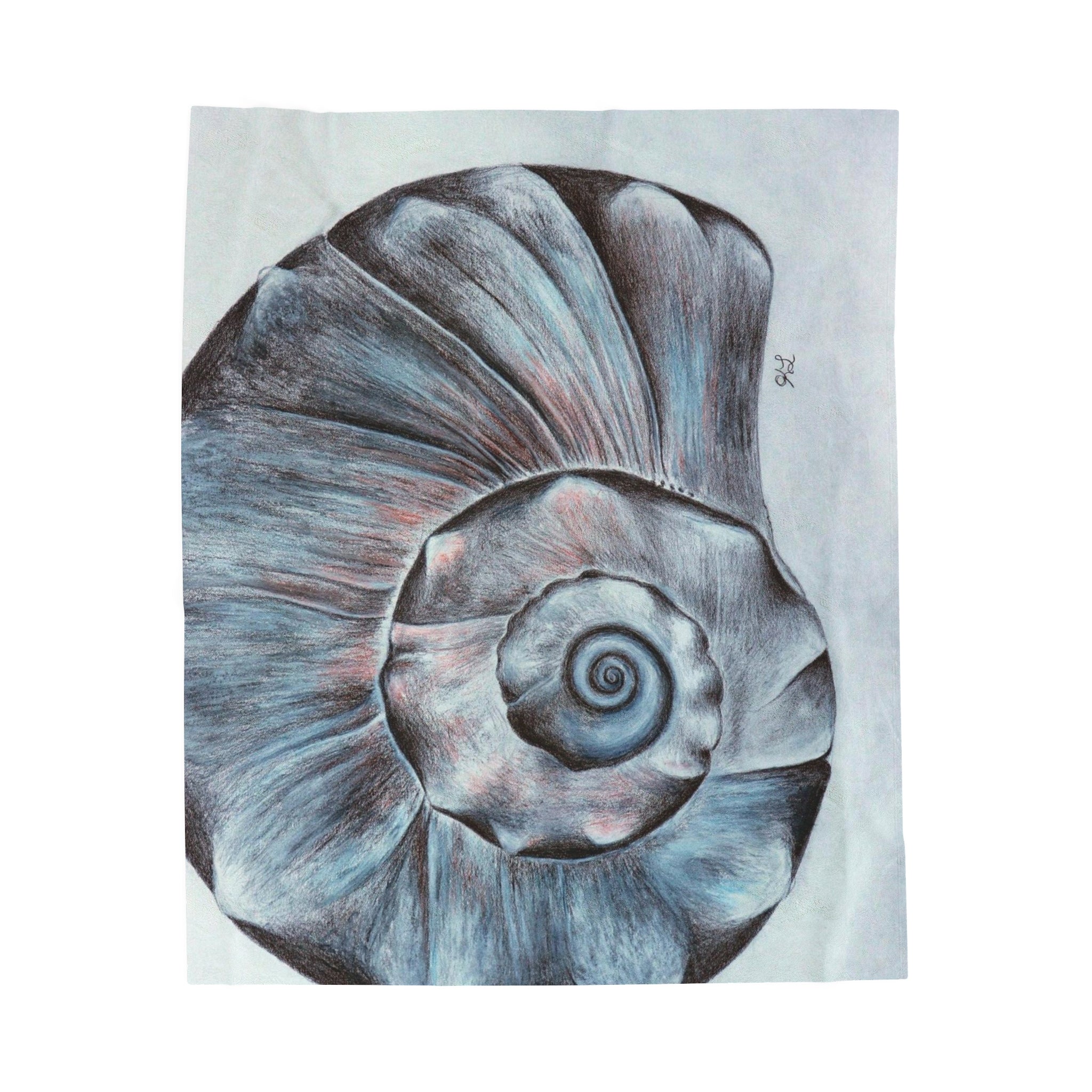 OBX Welk Shell Velveteen Plush Blanket