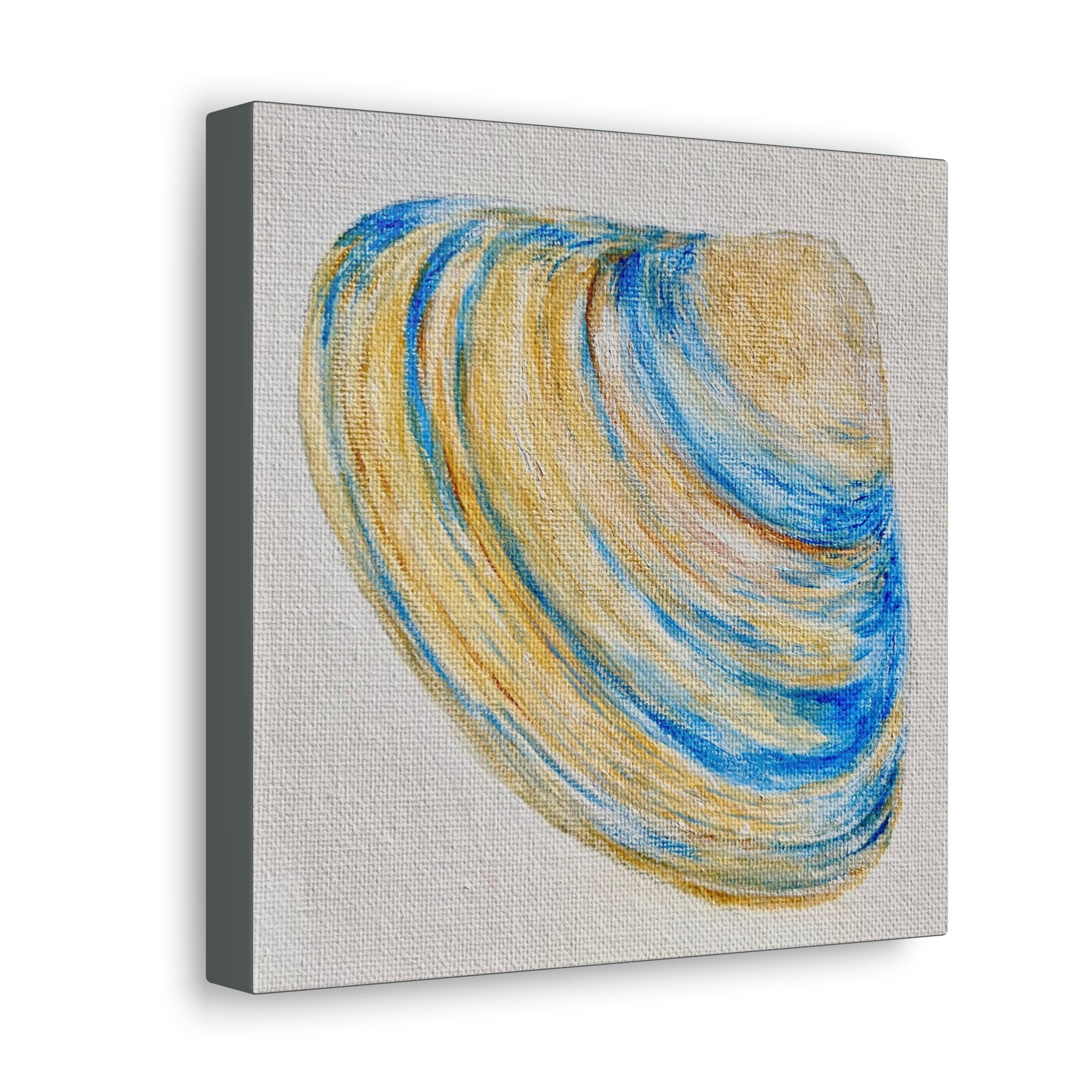 Clam Shell Canvas Gallery Wraps