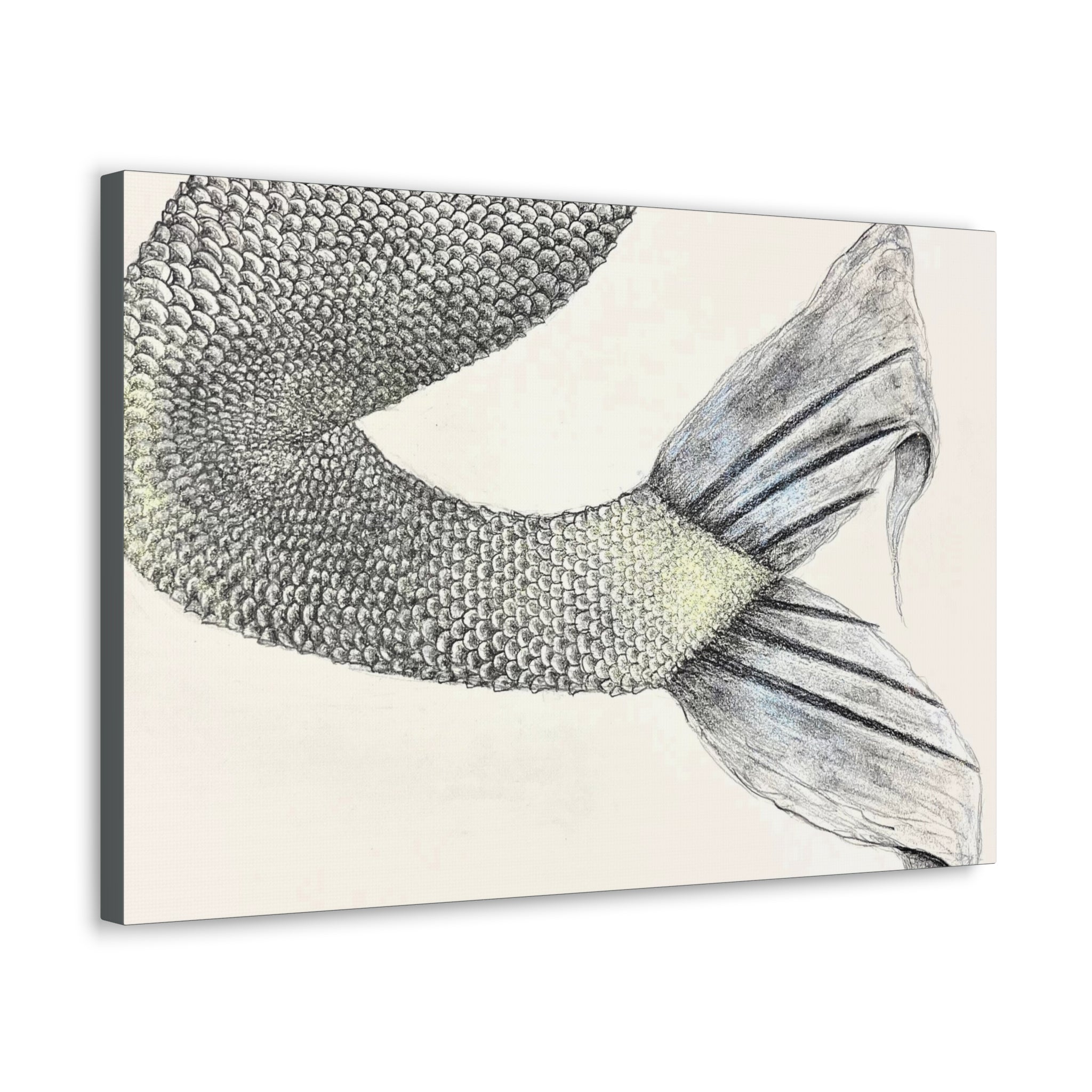 Mermaid #1 Third Edition Canvas Gallery Wraps