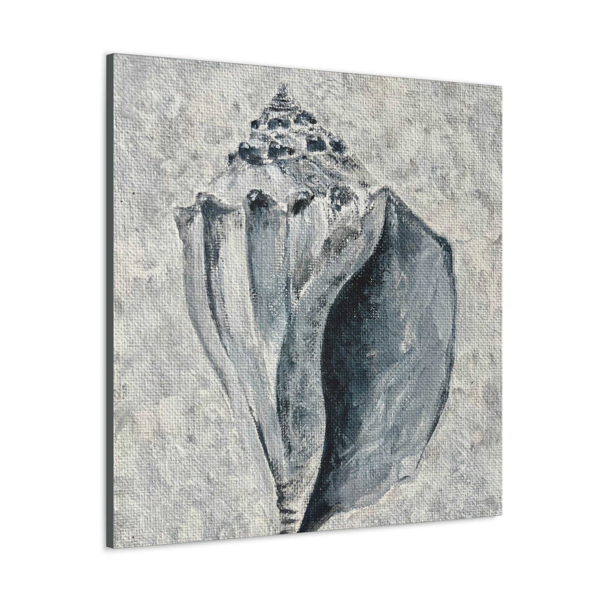 Welk Shell #2 Canvas Gallery Wraps