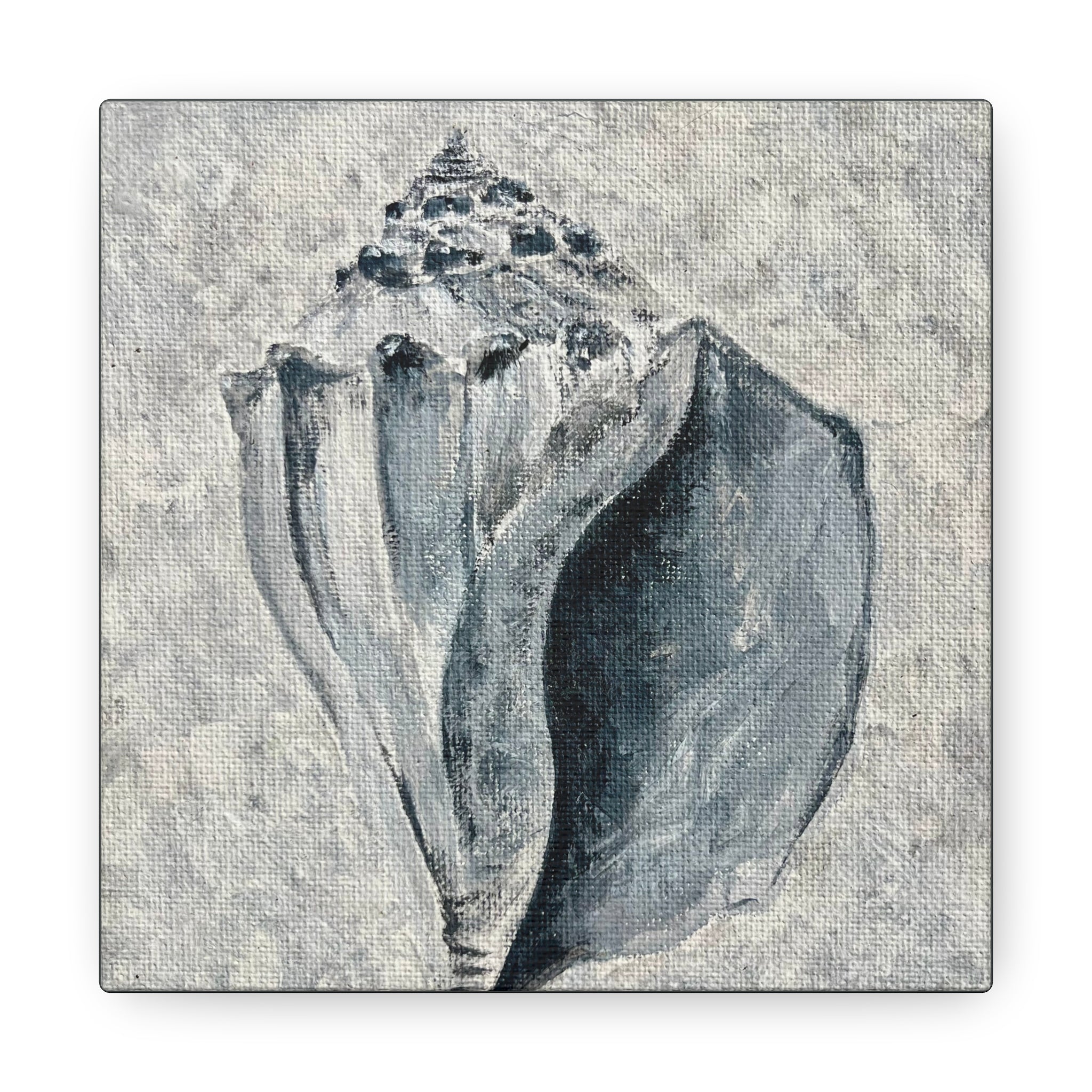 Welk Shell #2 Canvas Gallery Wraps