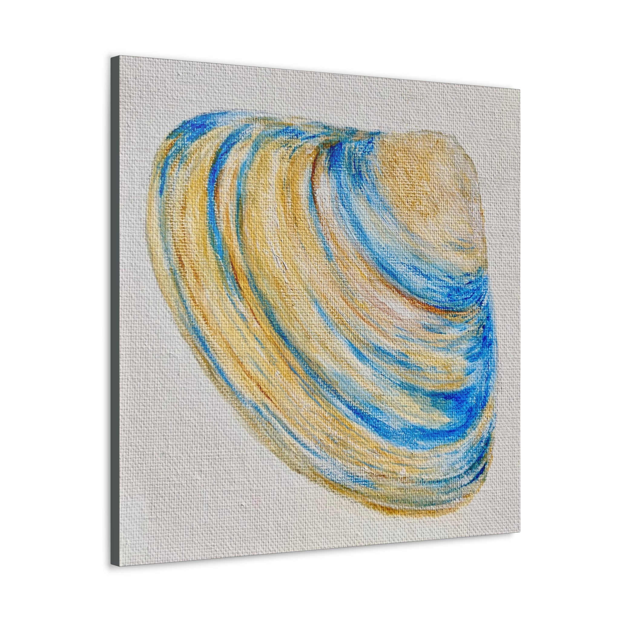 Clam Shell Canvas Gallery Wraps