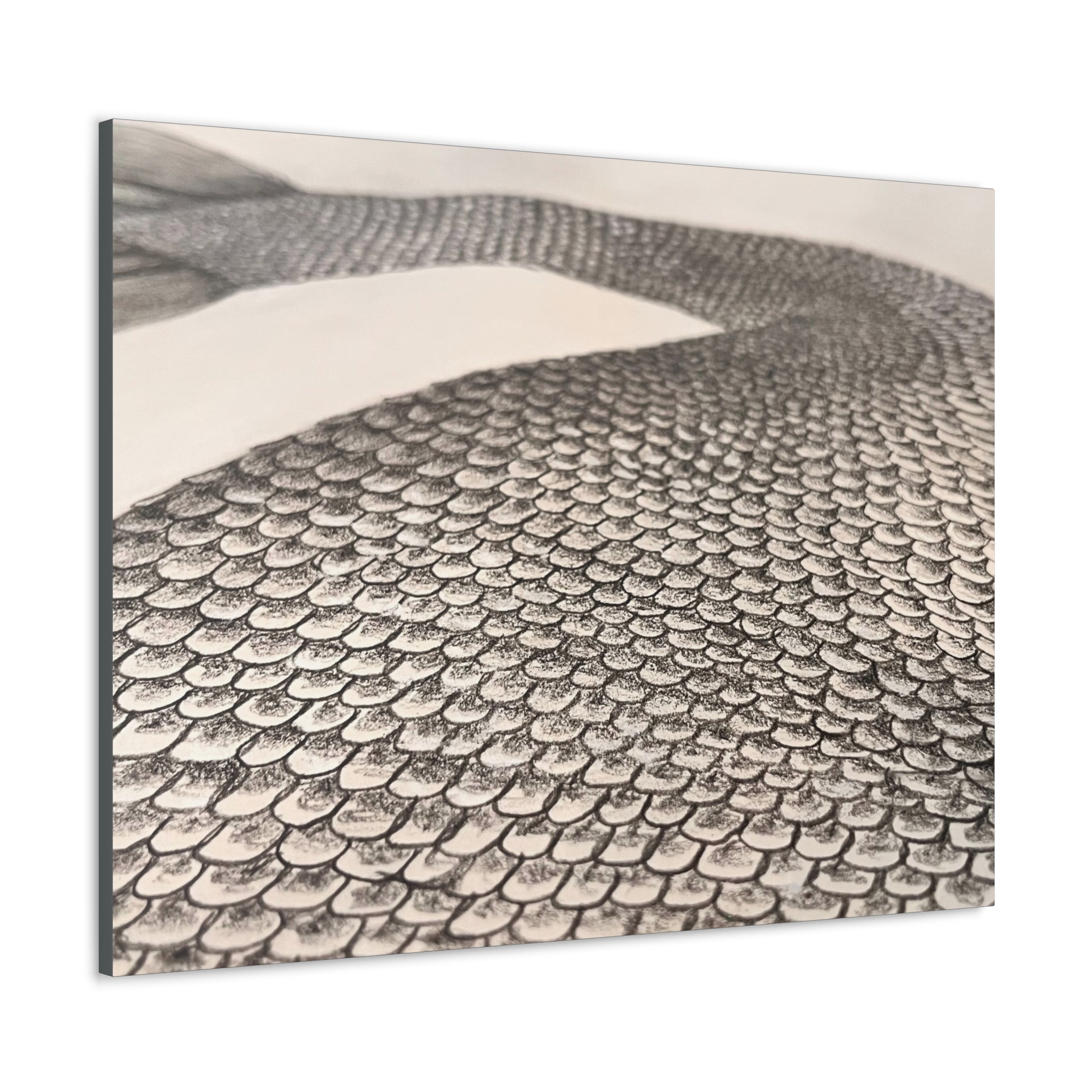 Mermaid Scales Edition #2 Canvas Gallery Wraps