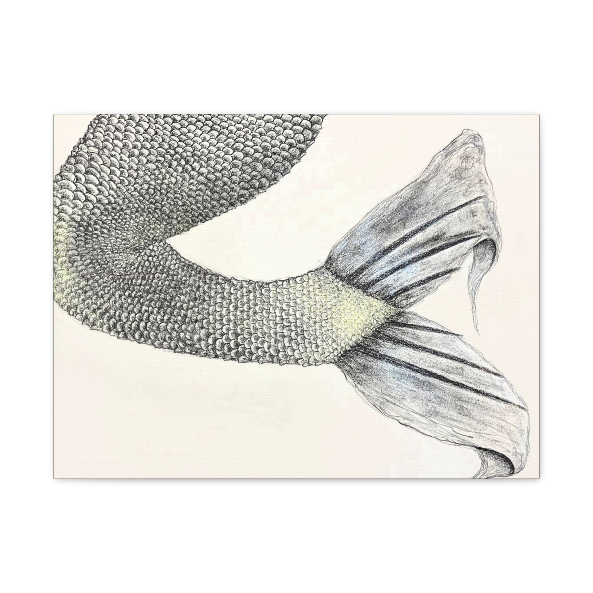 Mermaid #1 Third Edition Canvas Gallery Wraps