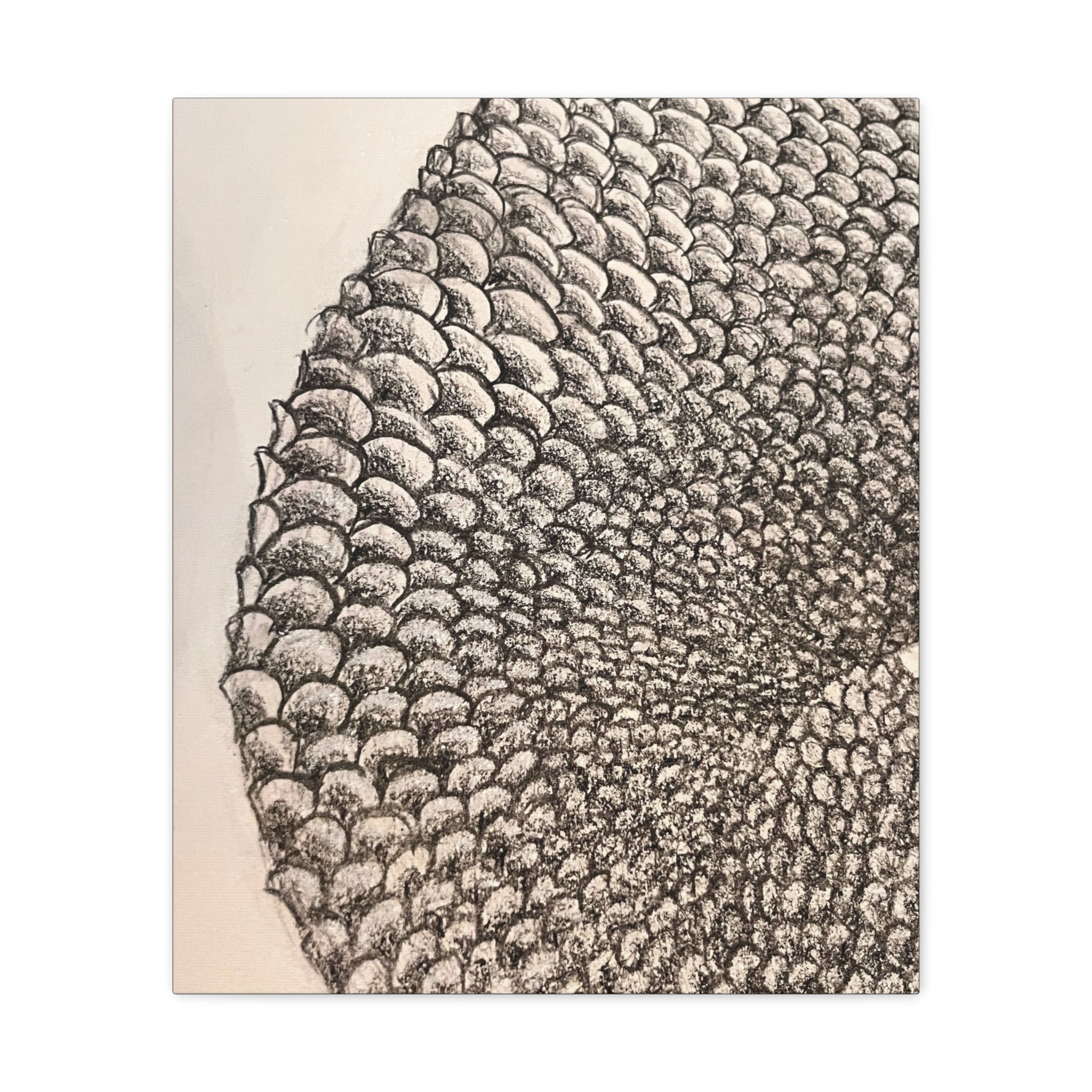 Mermaid Scales Canvas Gallery Wraps