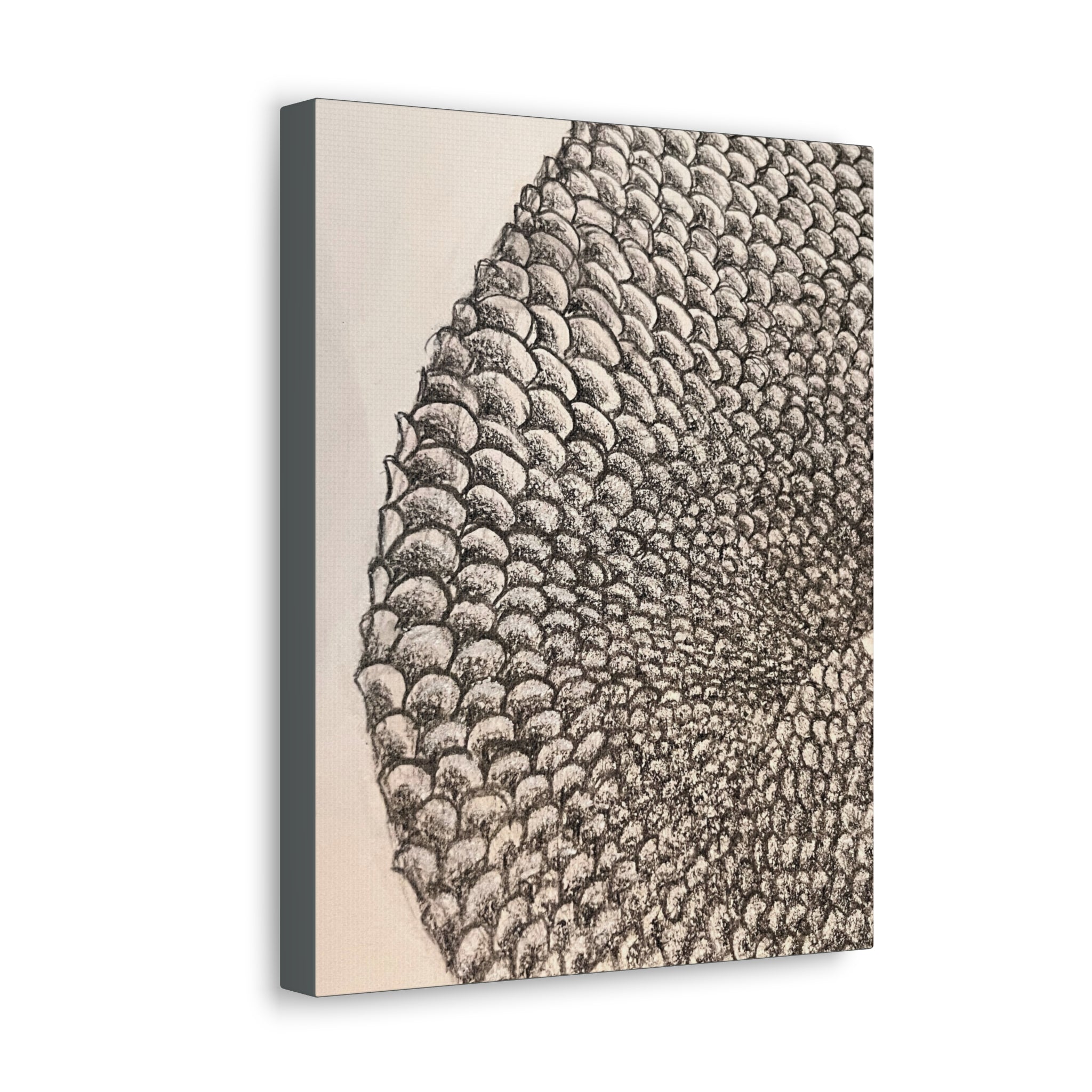 Mermaid Scales Canvas Gallery Wraps