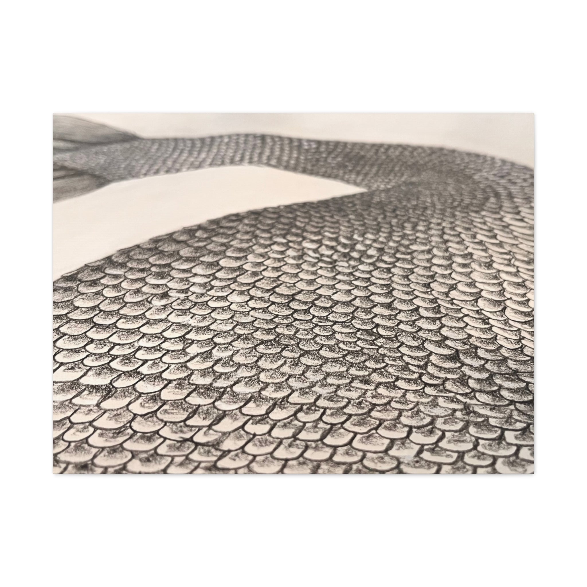 Mermaid Scales Edition #2 Canvas Gallery Wraps