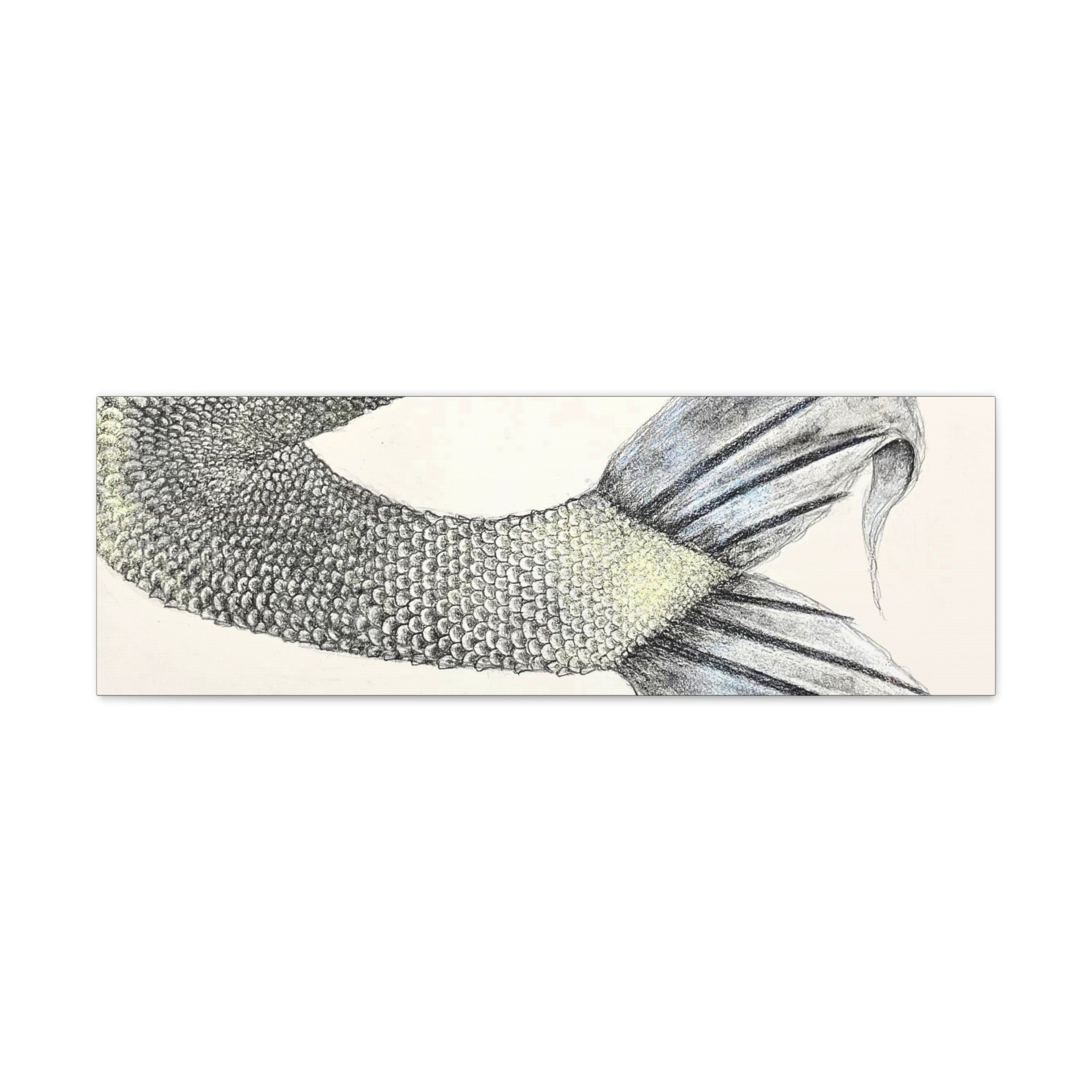 Mermaid #1 Third Edition Canvas Gallery Wraps