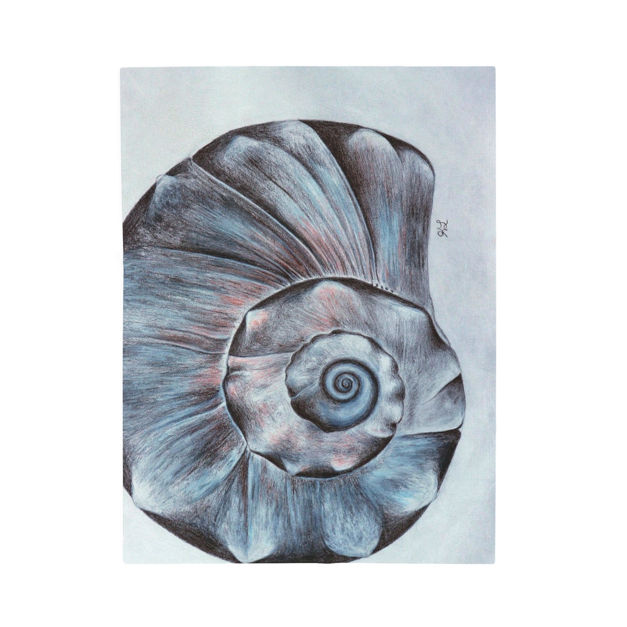 OBX Welk Shell Velveteen Plush Blanket