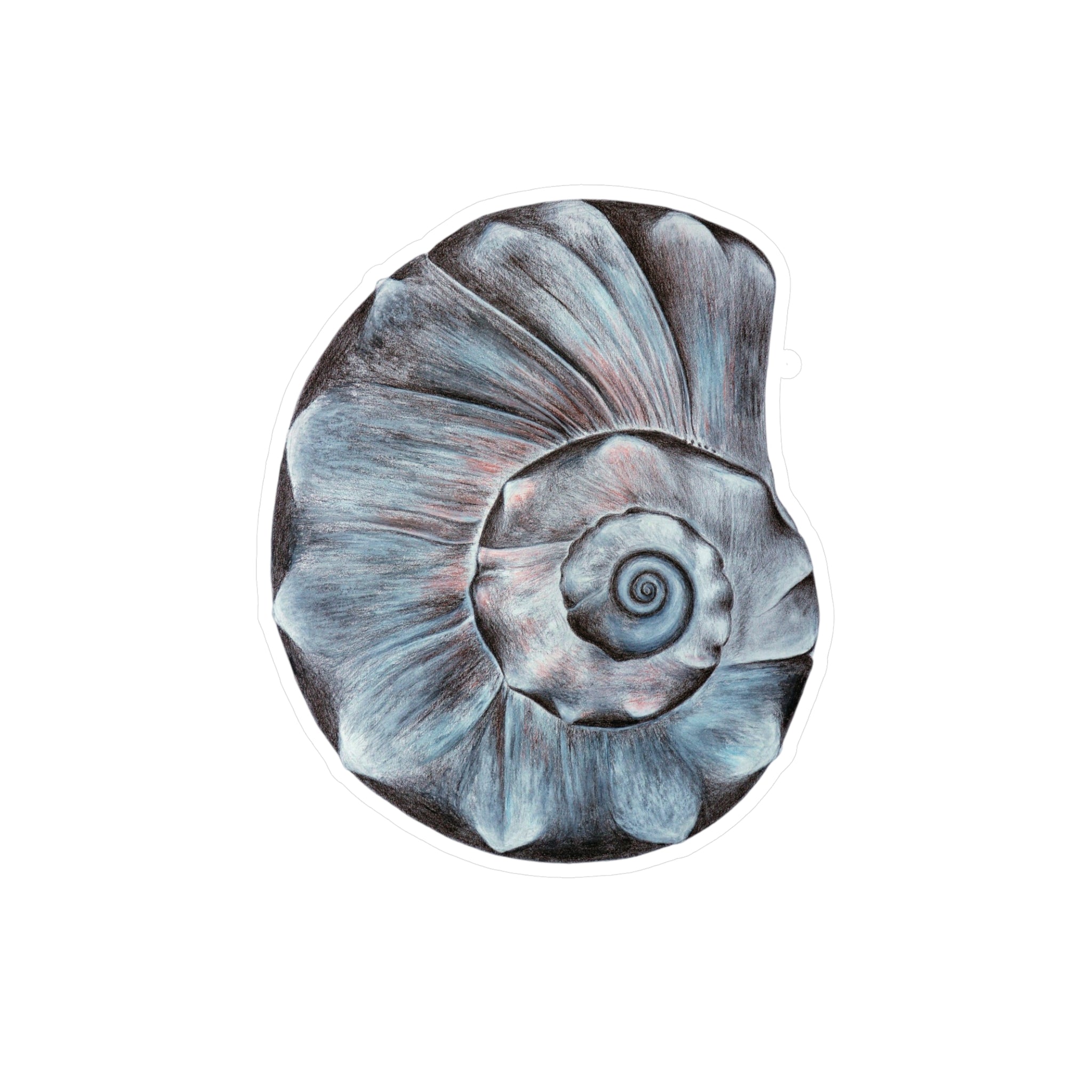 Vinyl Decals (OBX Welk Shell) UV/Water resist