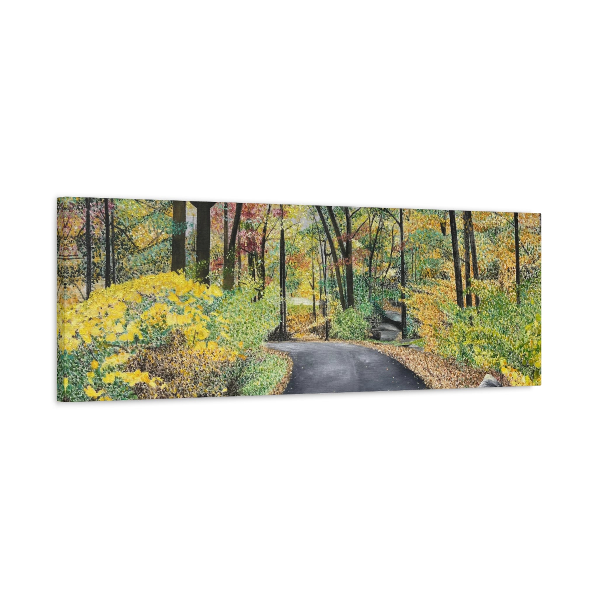 "Lake Scranton Fall Walk"