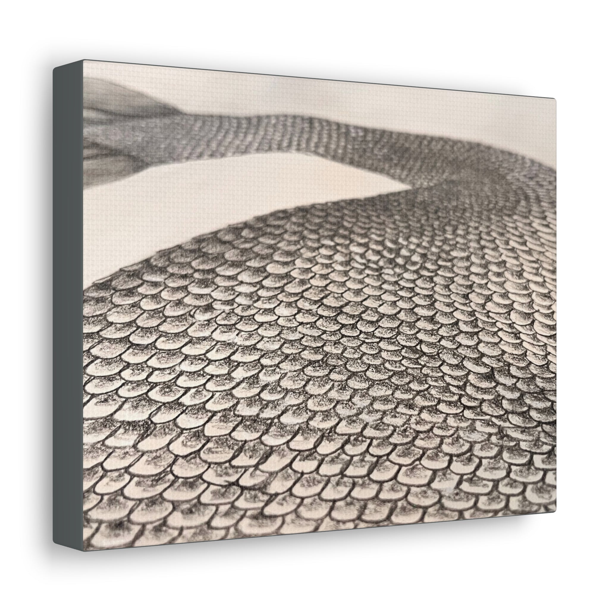 Mermaid Scales Edition #2 Canvas Gallery Wraps