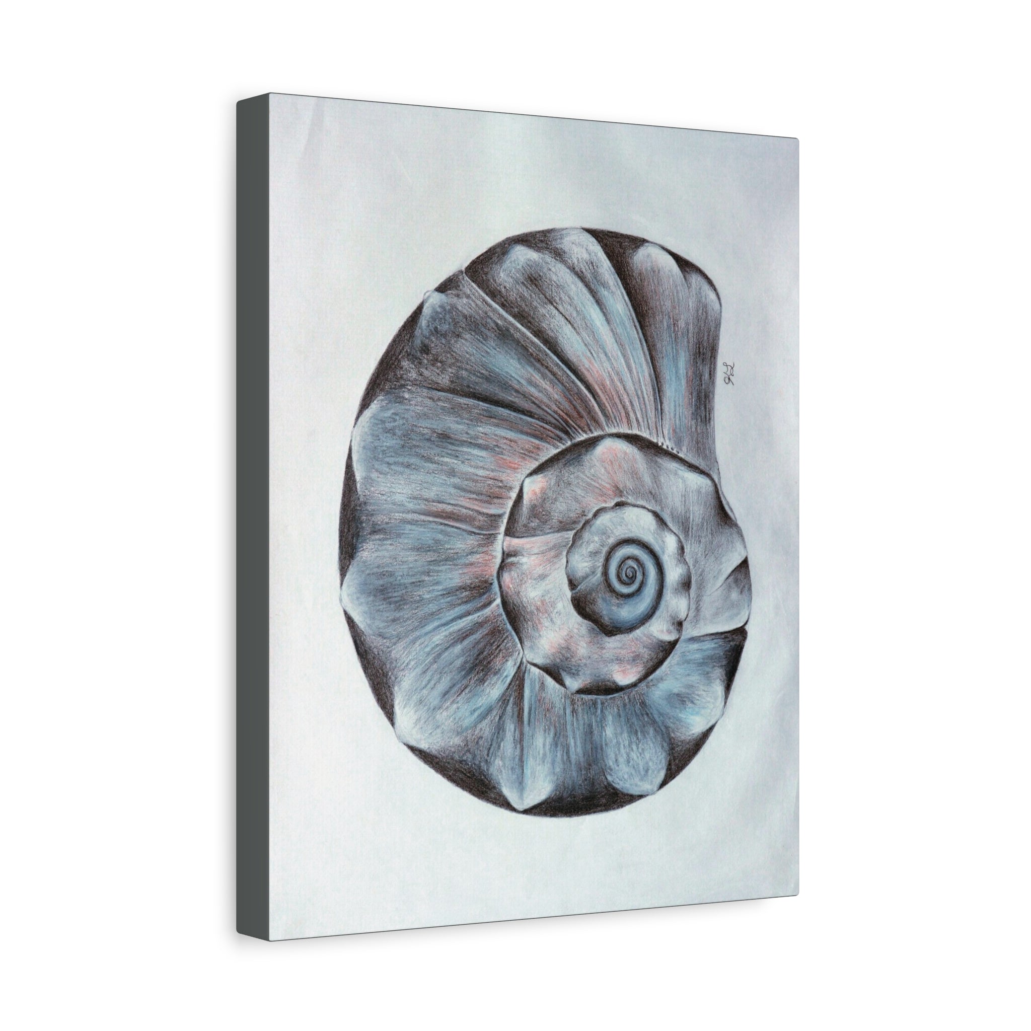 Welk Shell Wall Art