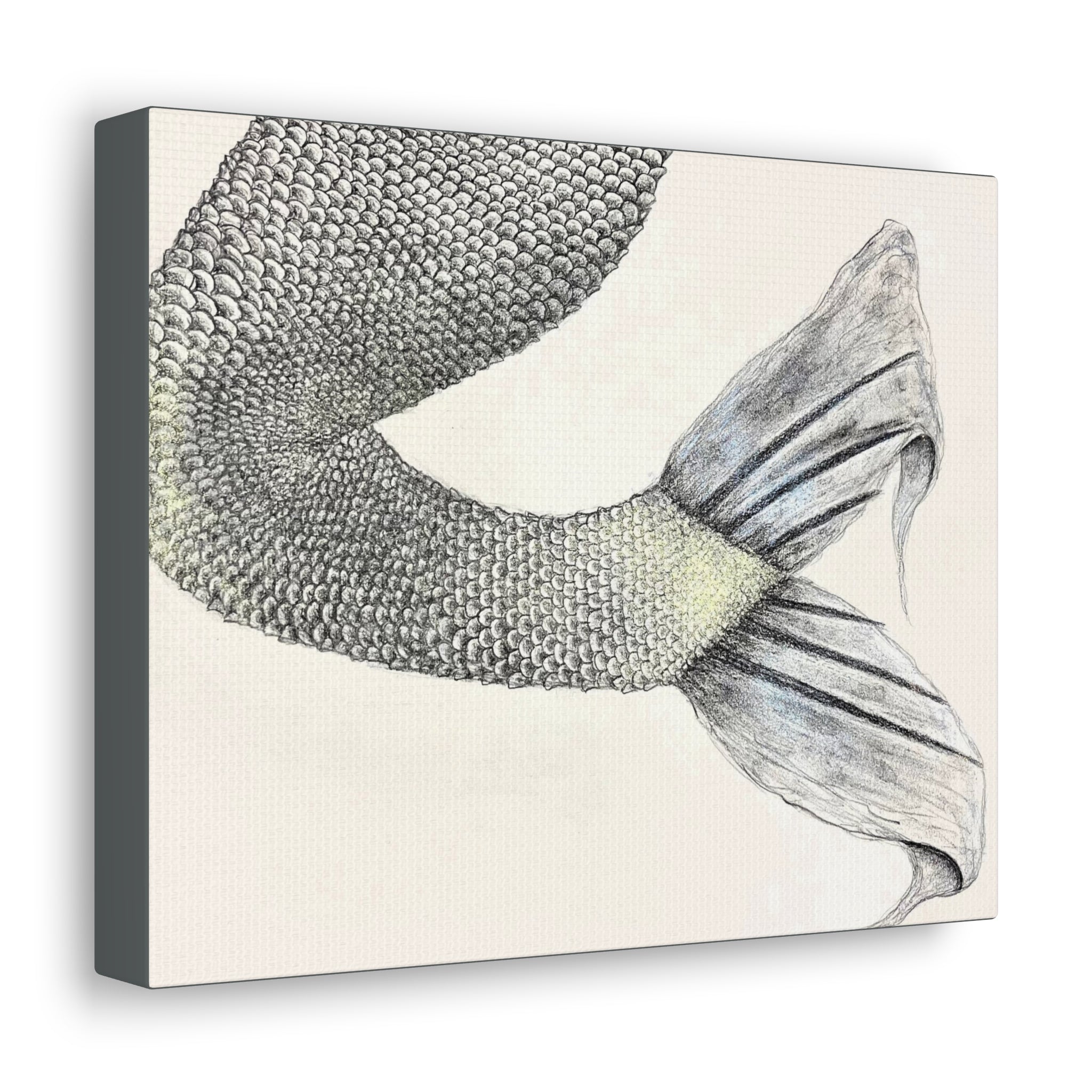 Mermaid #1 Third Edition Canvas Gallery Wraps