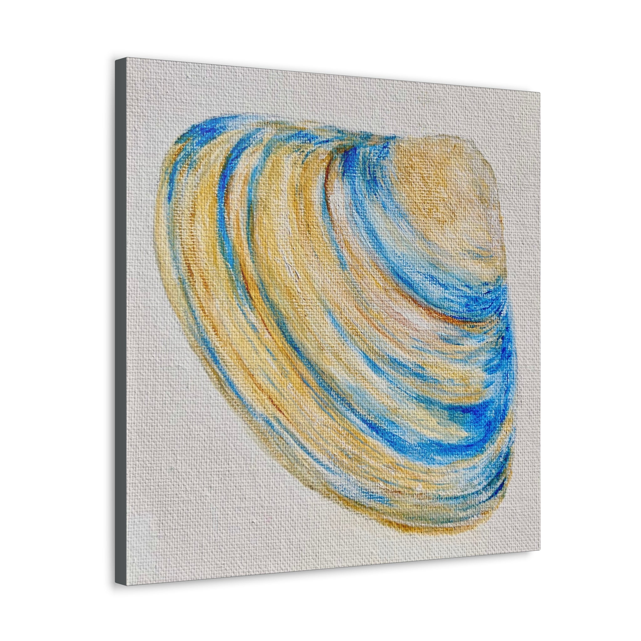 Clam Shell Canvas Gallery Wraps