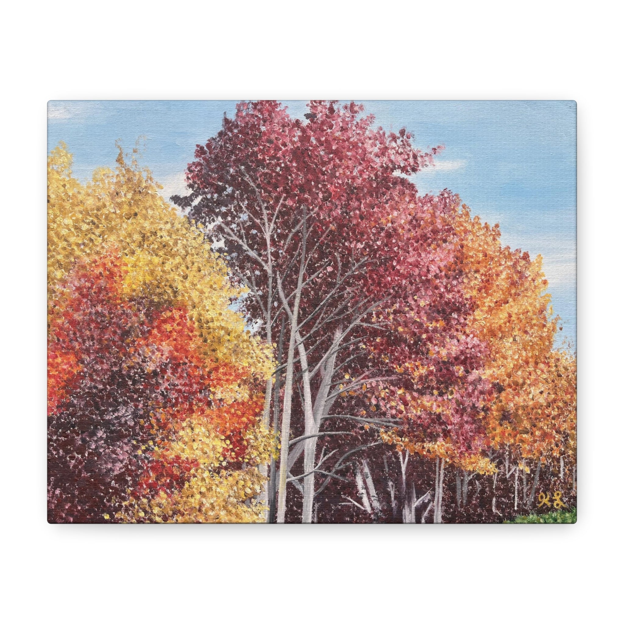 "Fall in Pennsylvania #1"