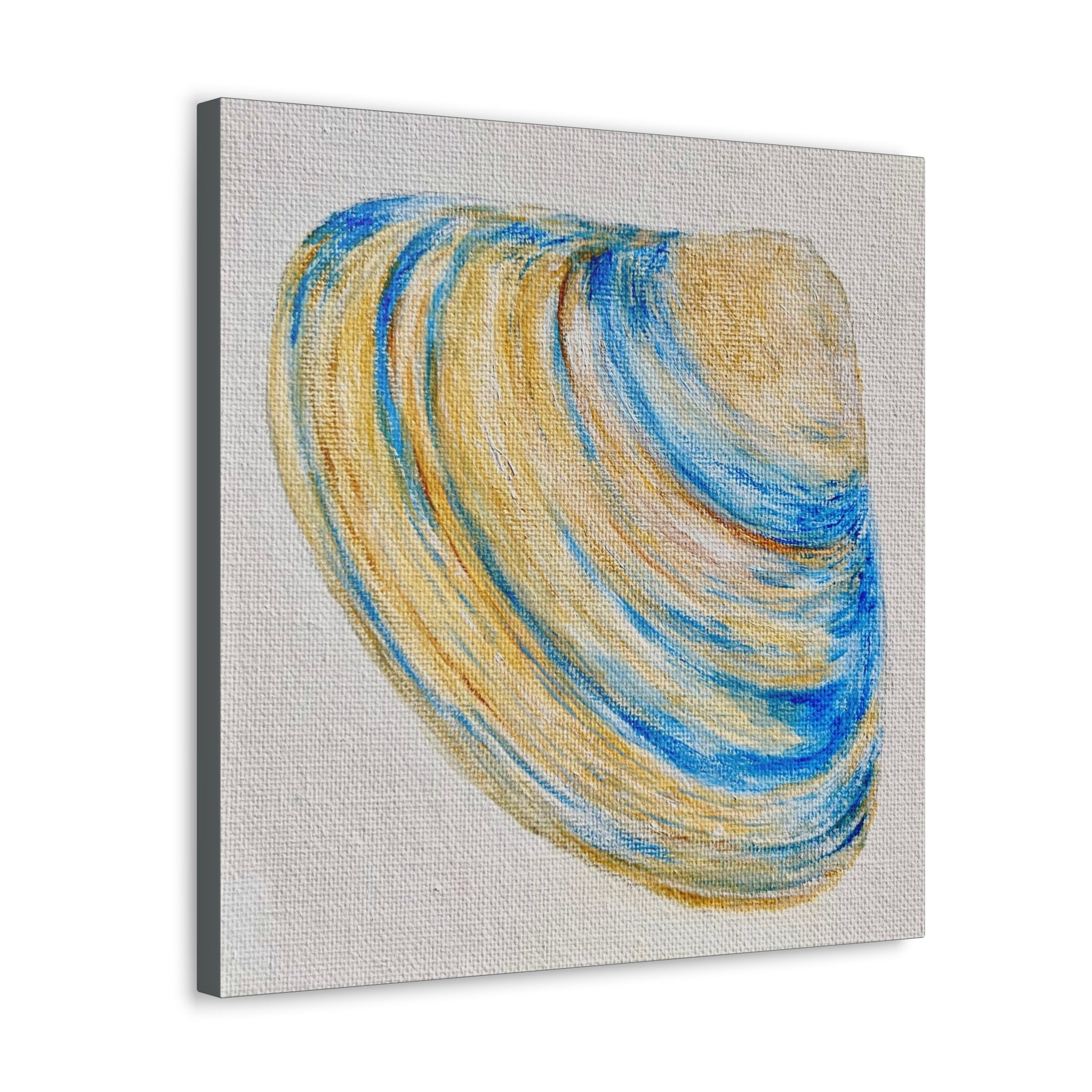 Clam Shell Canvas Gallery Wraps