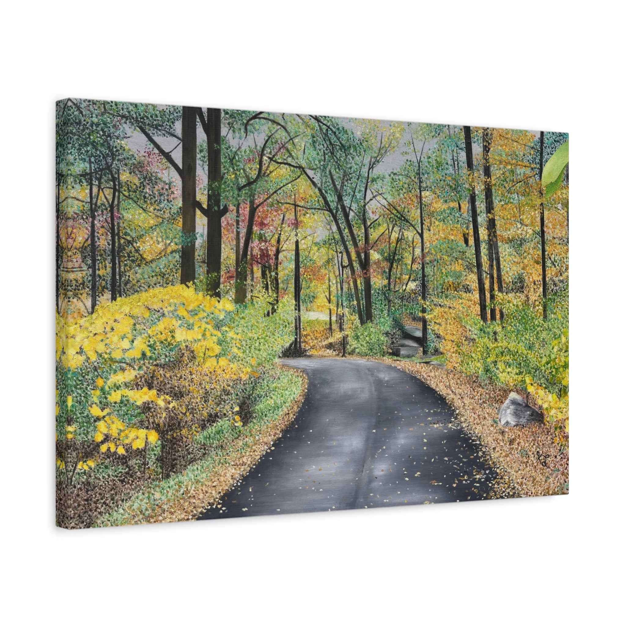 "Lake Scranton Fall Walk"