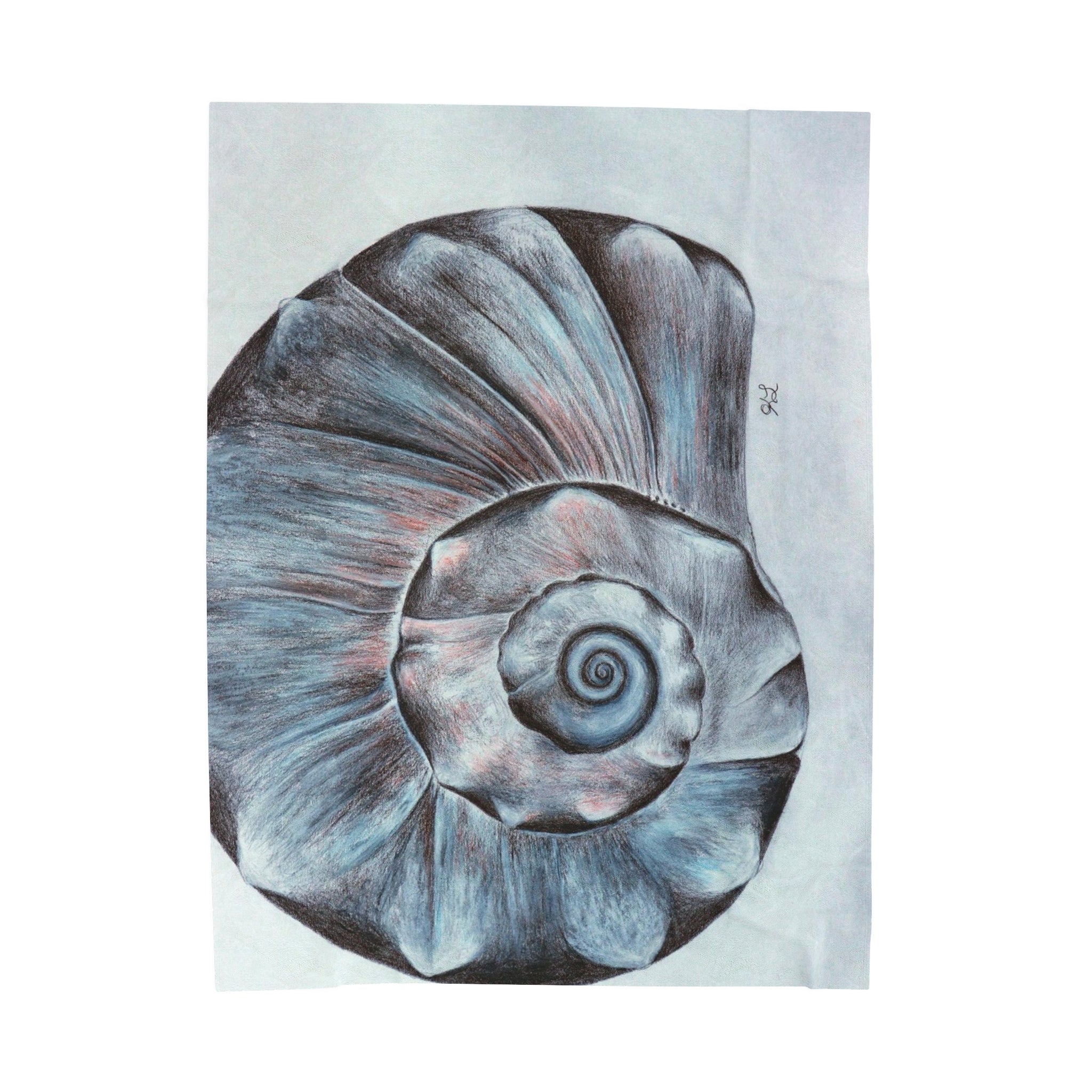 OBX Welk Shell Velveteen Plush Blanket