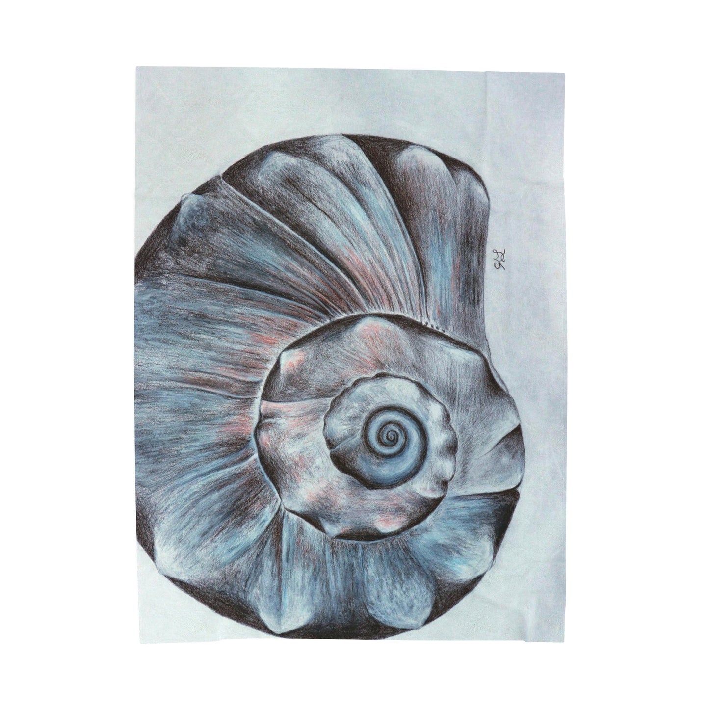 OBX Welk Shell Velveteen Plush Blanket