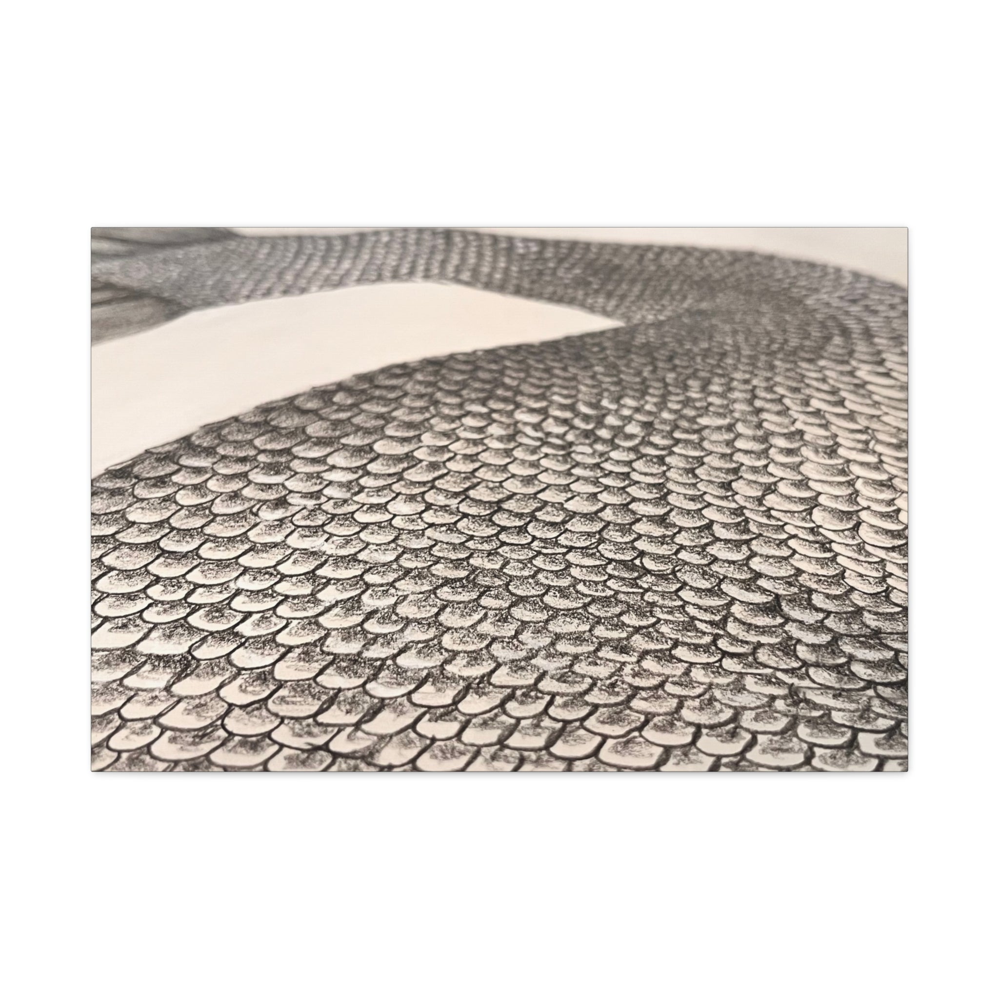 Mermaid Scales Edition #2 Canvas Gallery Wraps