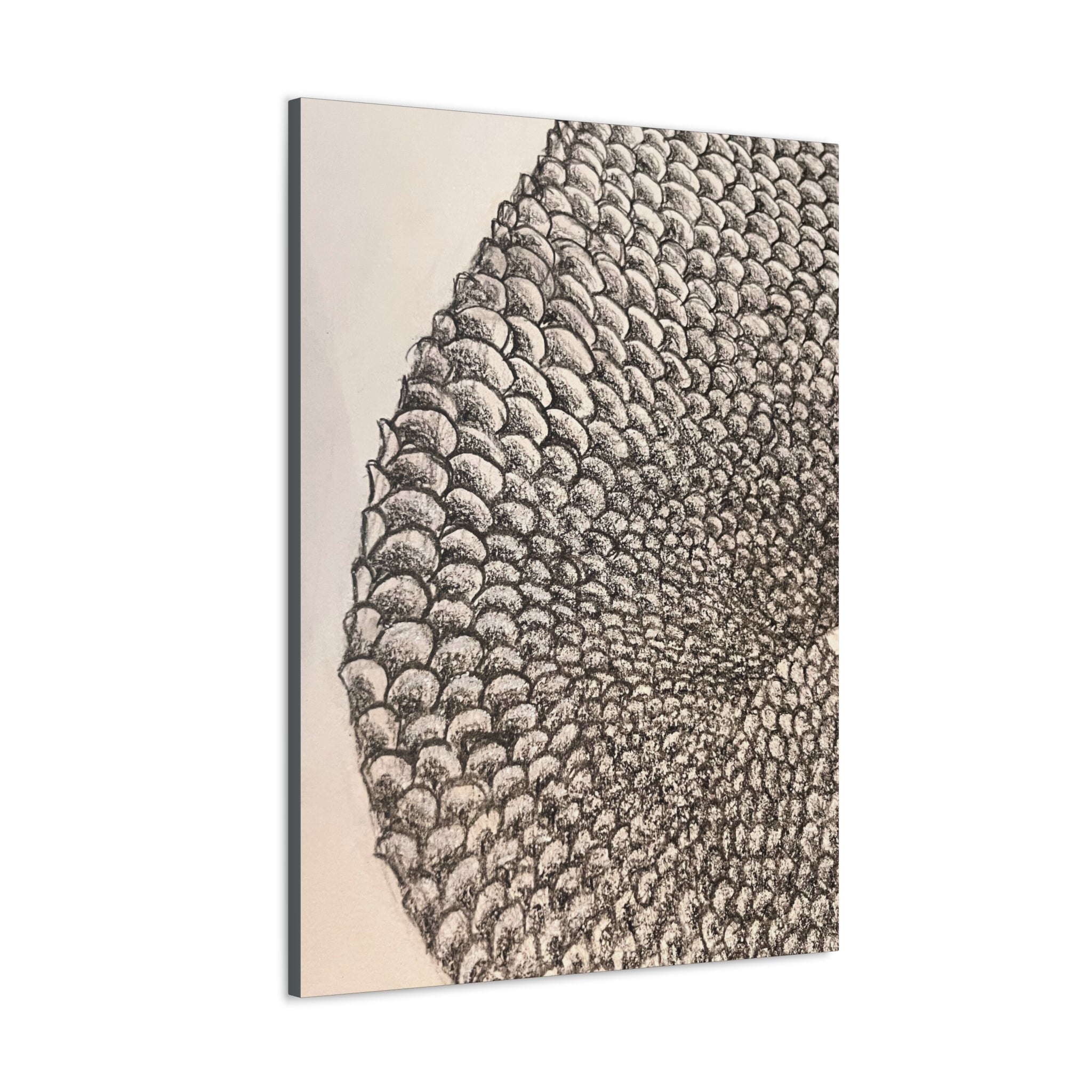 Mermaid Scales Canvas Gallery Wraps