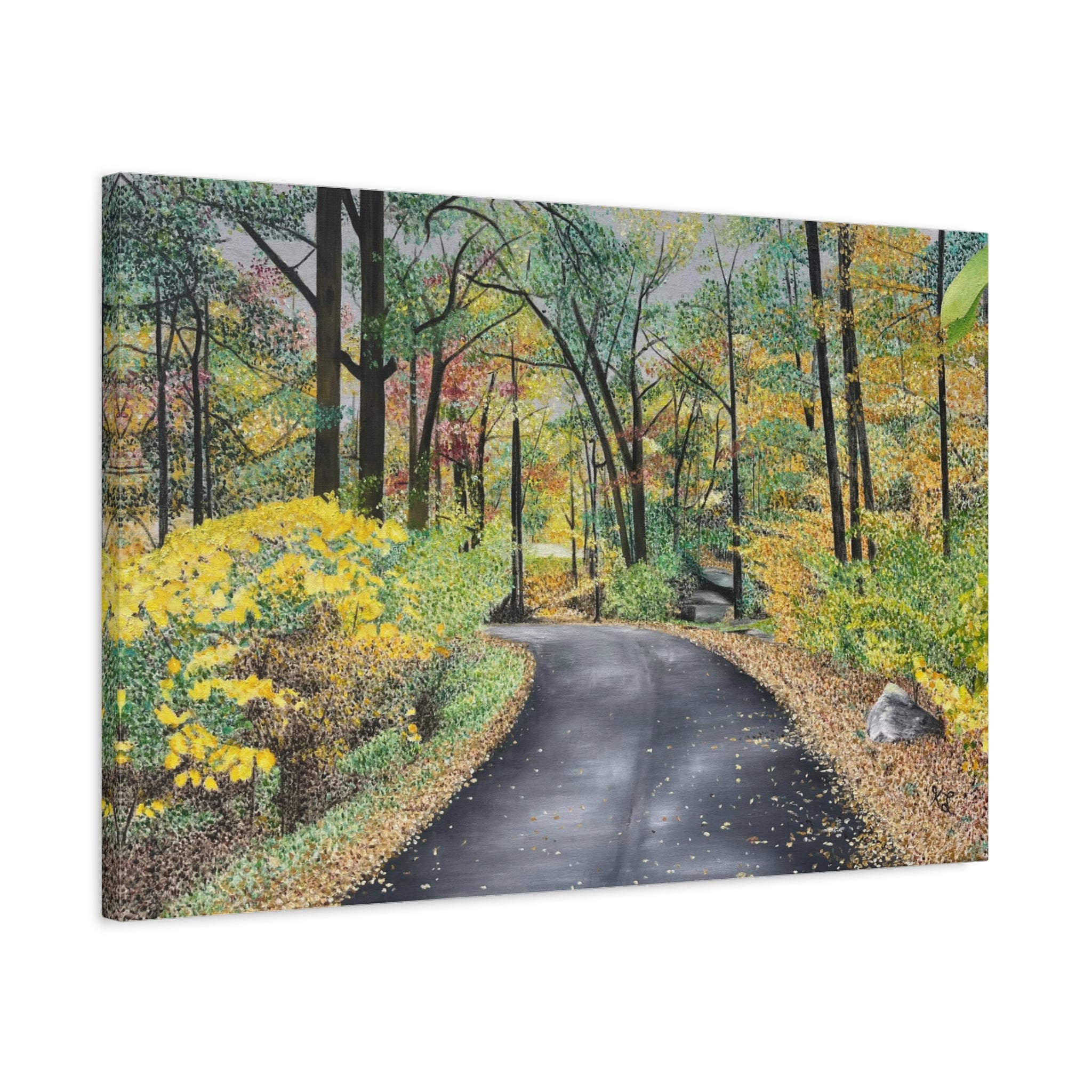 "Lake Scranton Fall Walk"