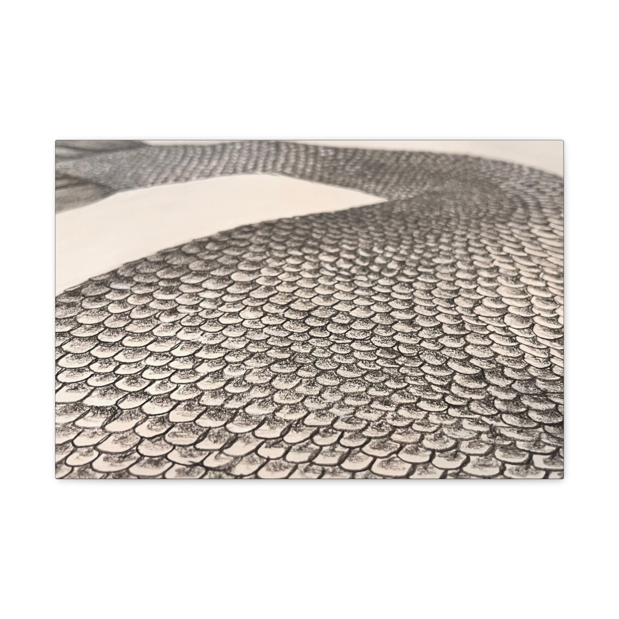 Mermaid Scales Edition #2 Canvas Gallery Wraps