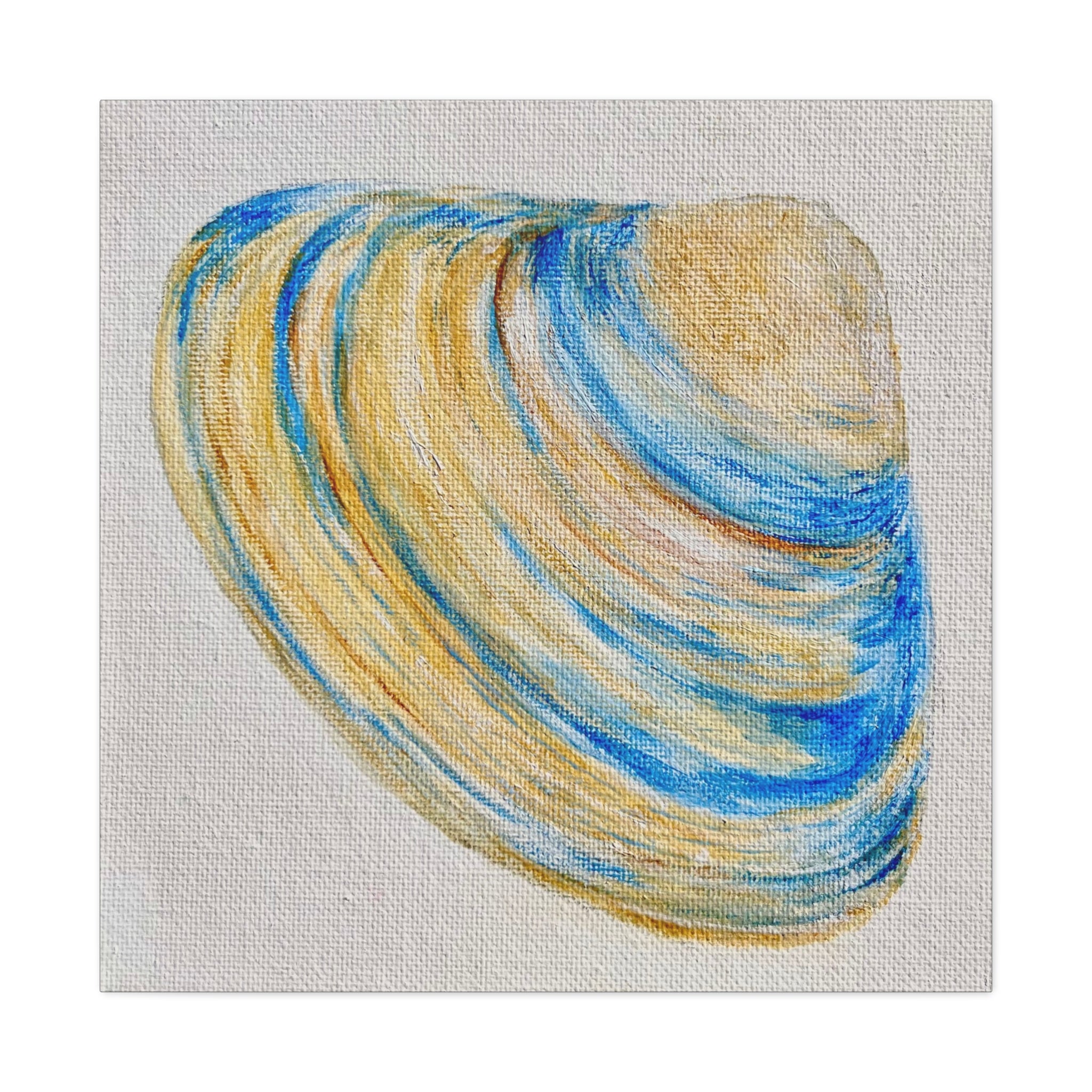 Clam Shell Canvas Gallery Wraps